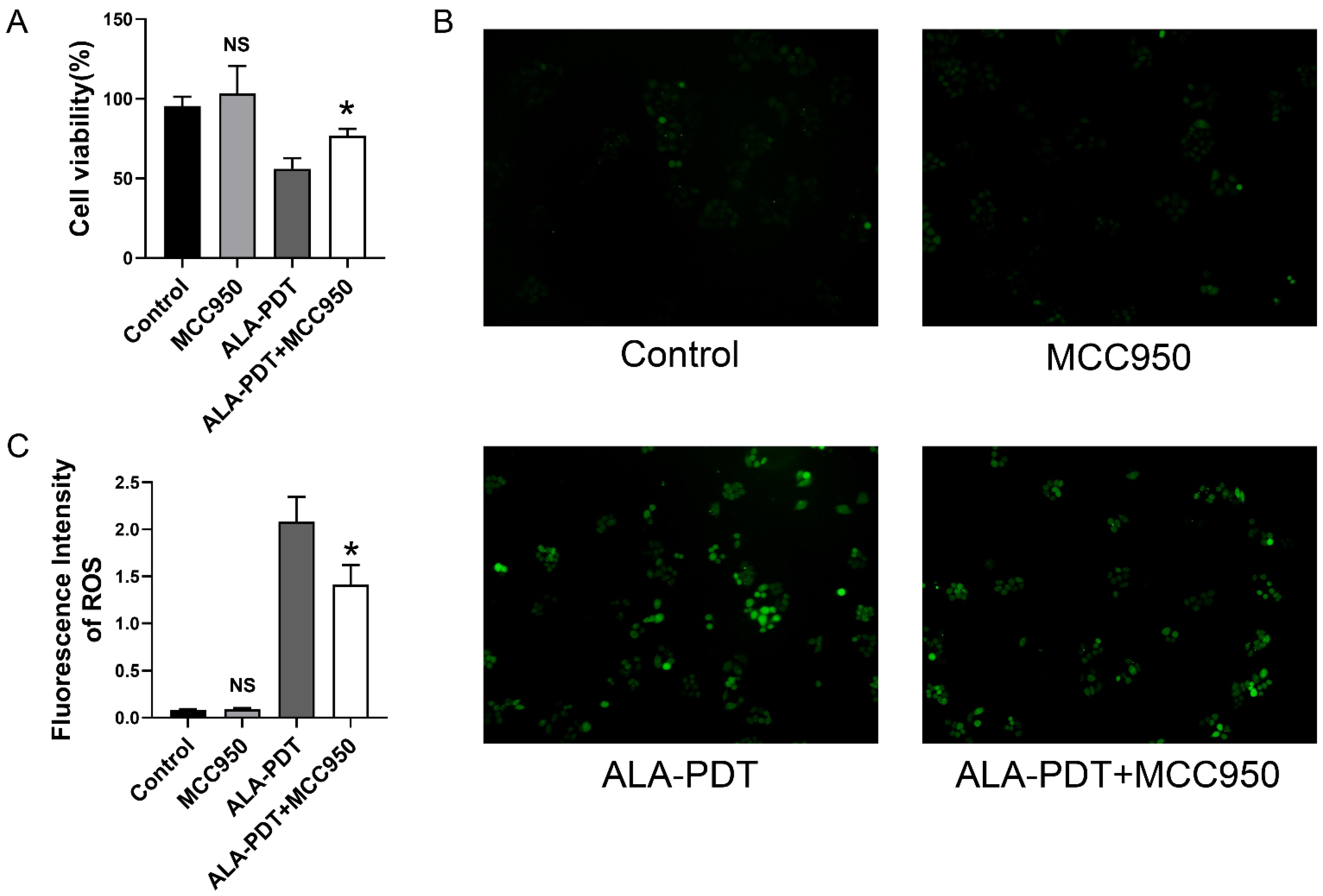 Photonics 09 00408 g005