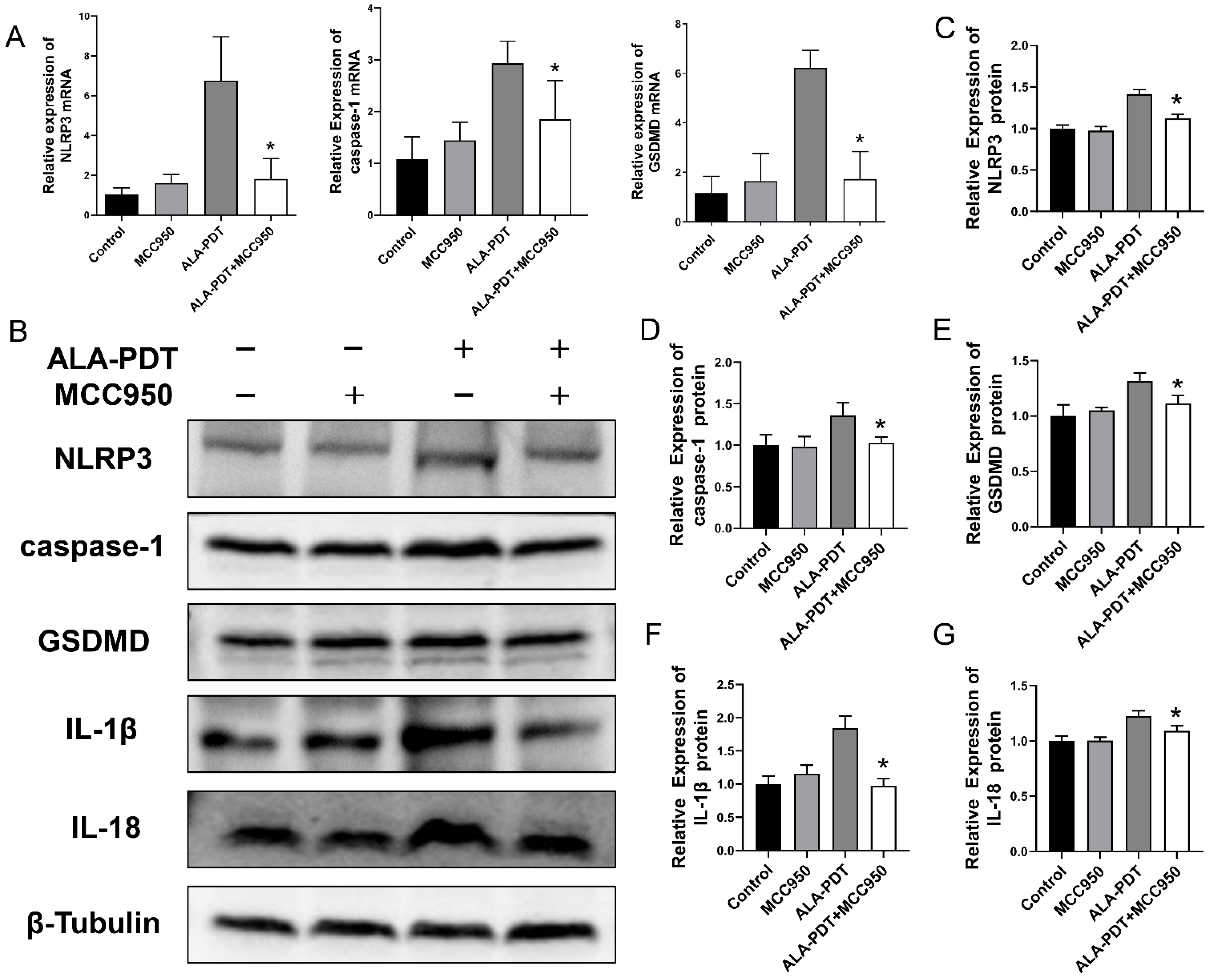 Photonics 09 00408 g006