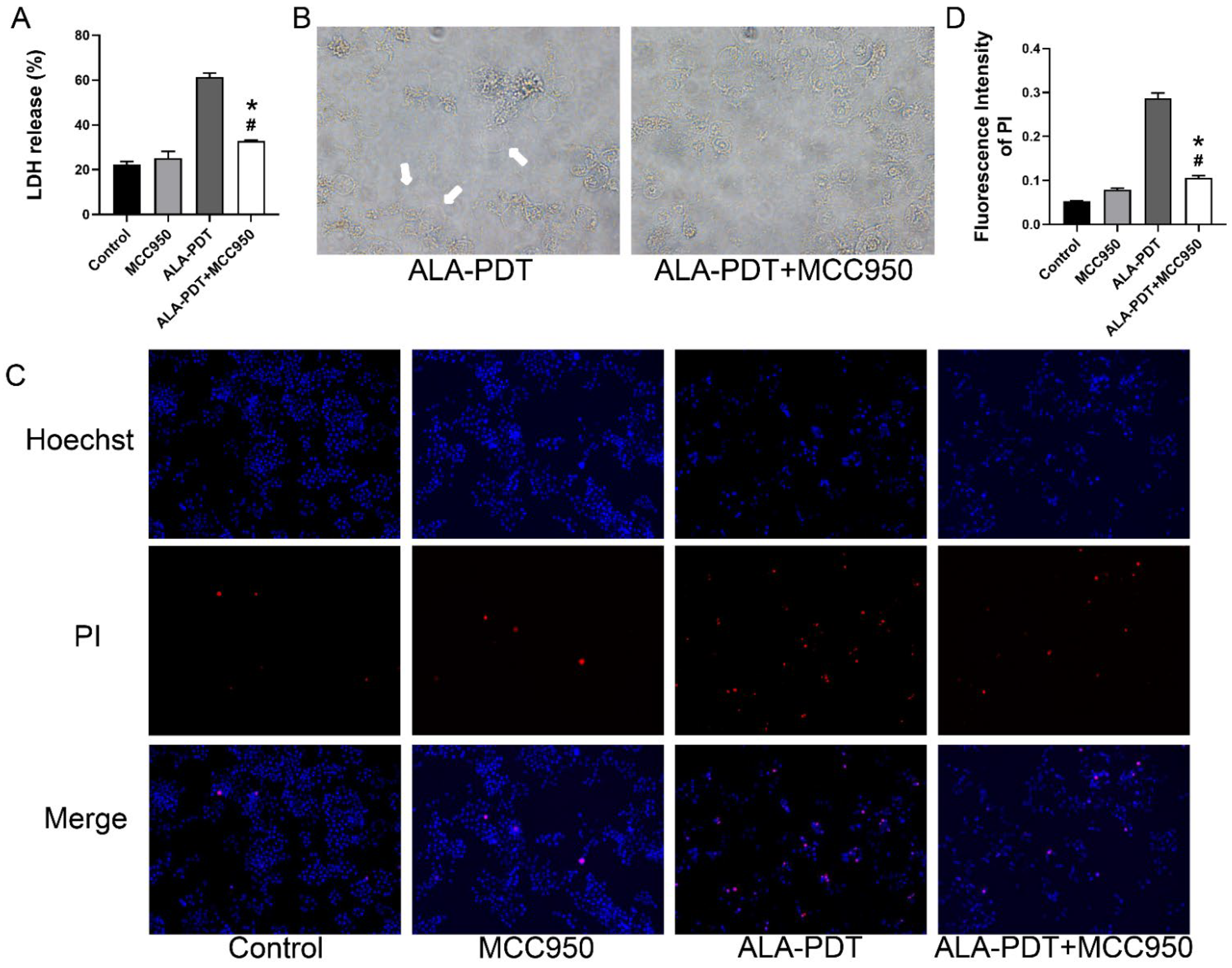 Photonics 09 00408 g007