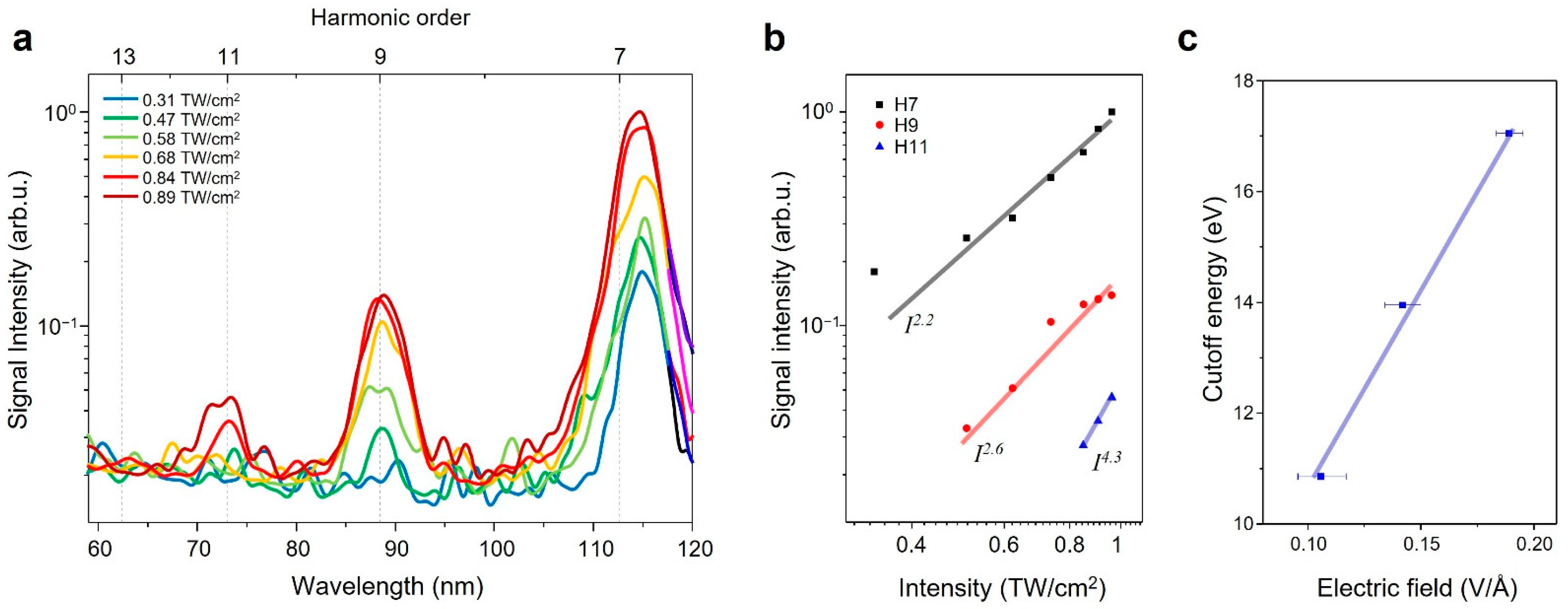 Photonics 09 00427 g003
