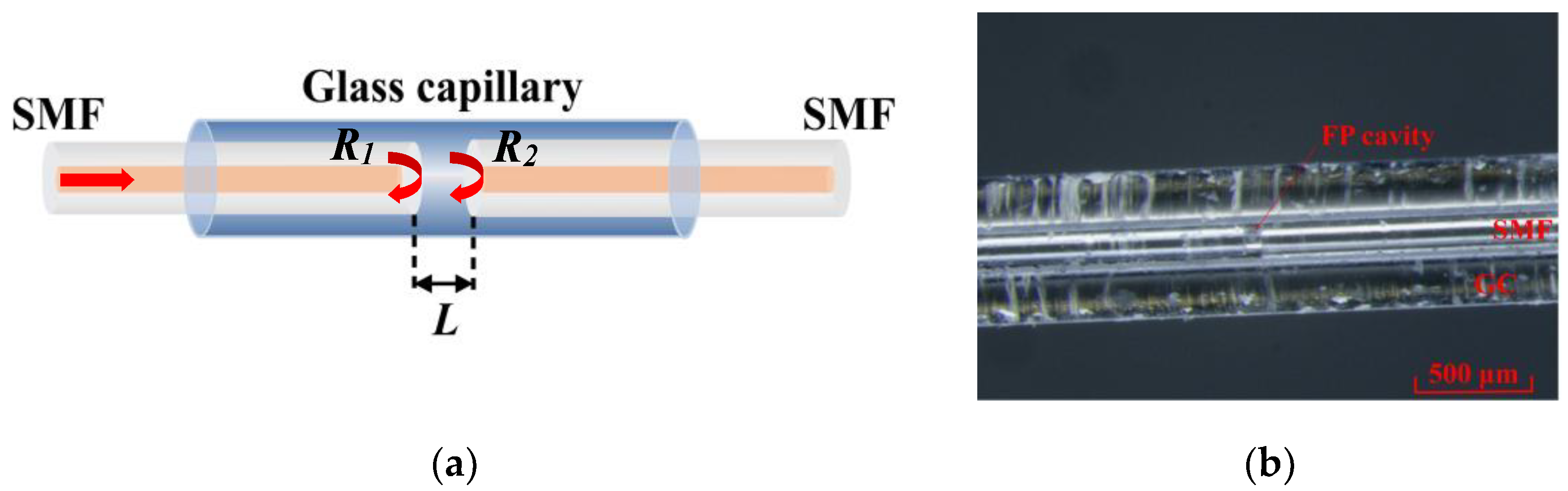 Photonics 09 00451 g001