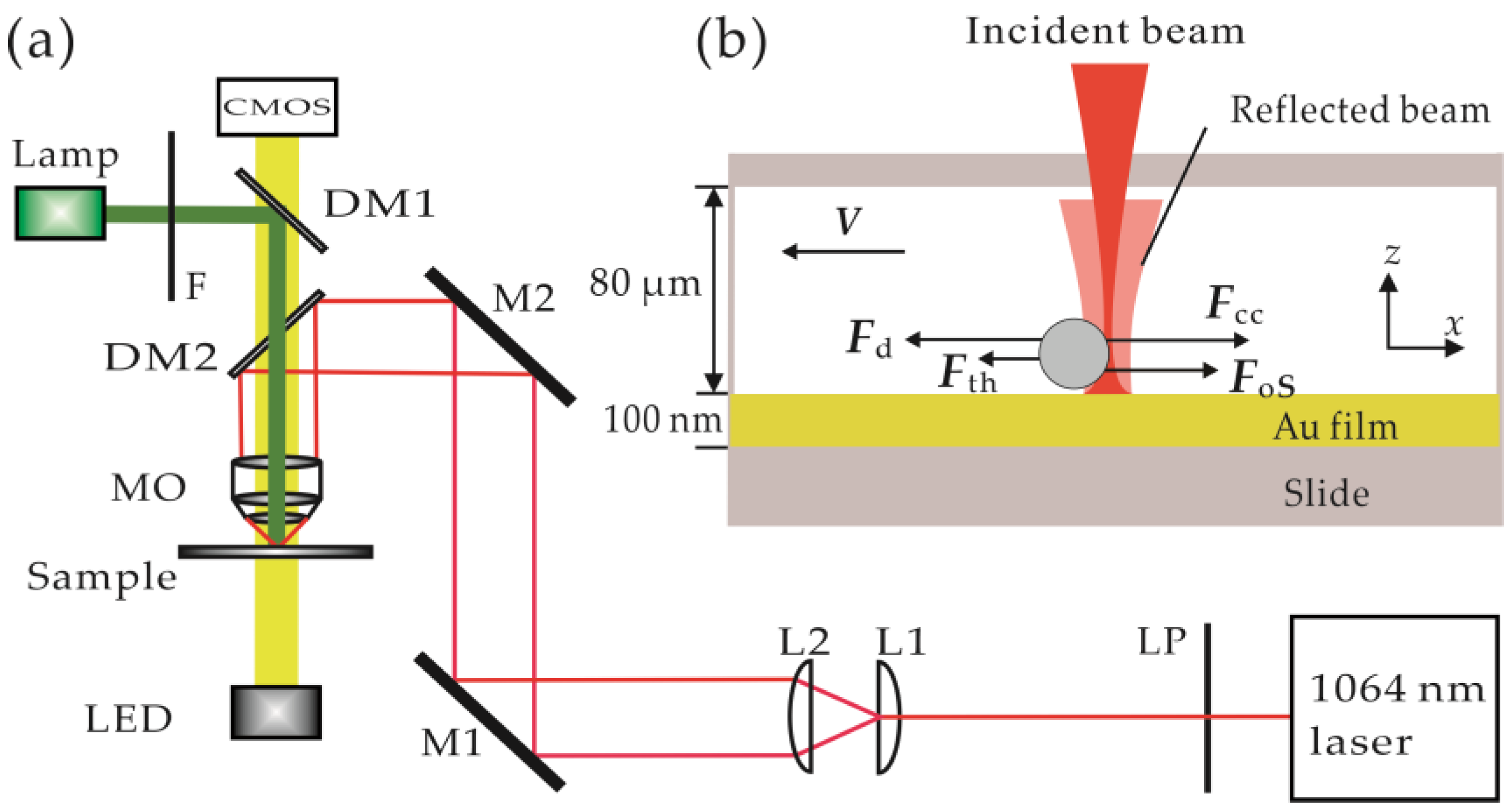 Photonics 09 00473 g001