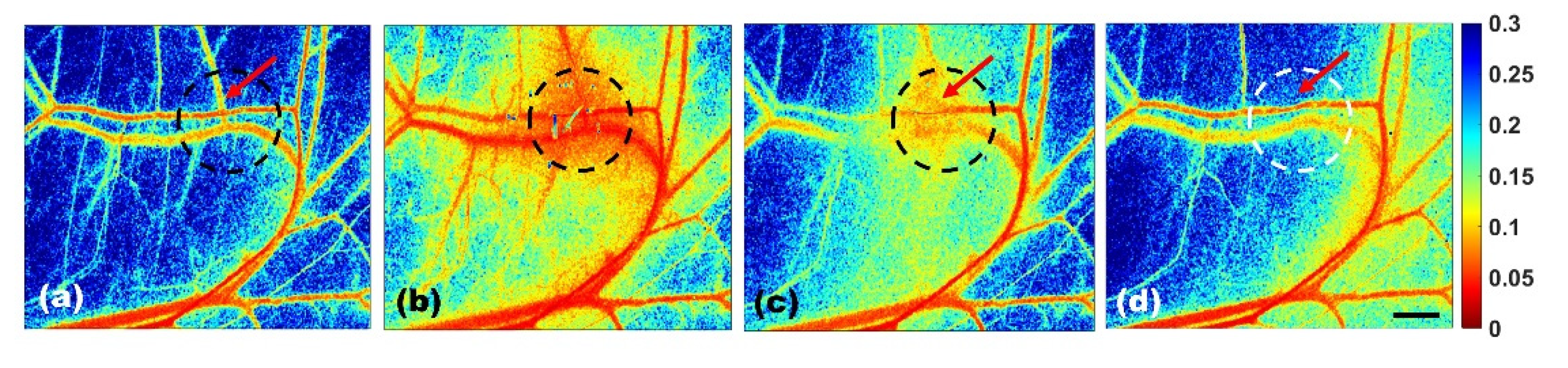 Photonics 09 00520 g006