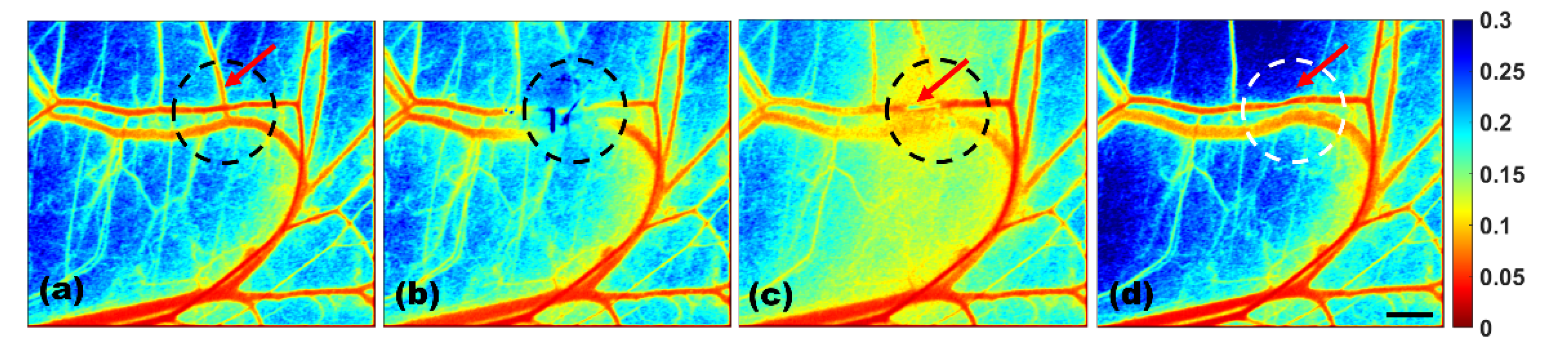 Photonics 09 00520 g009