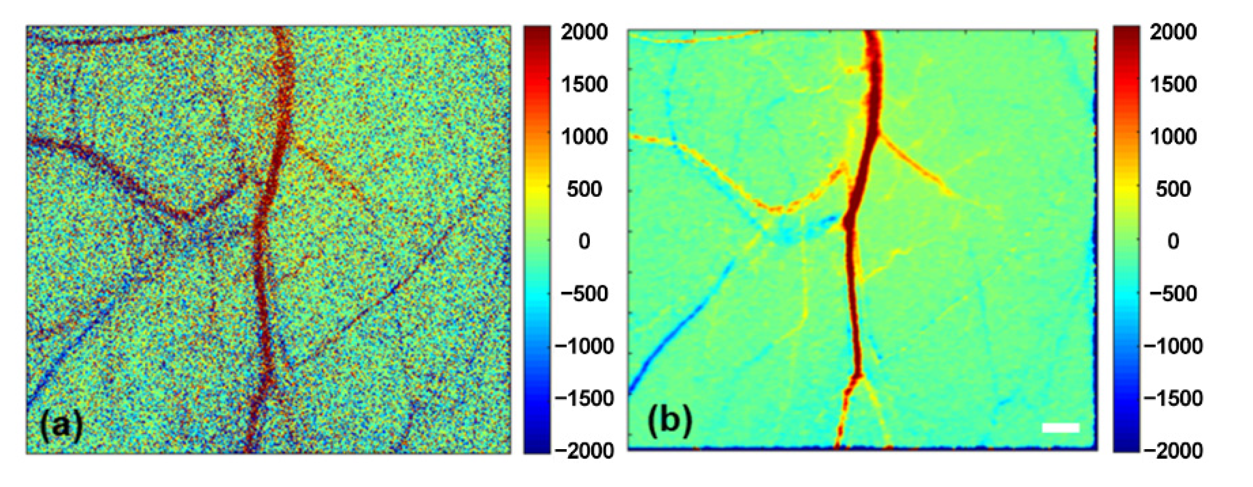 Photonics 09 00520 g011