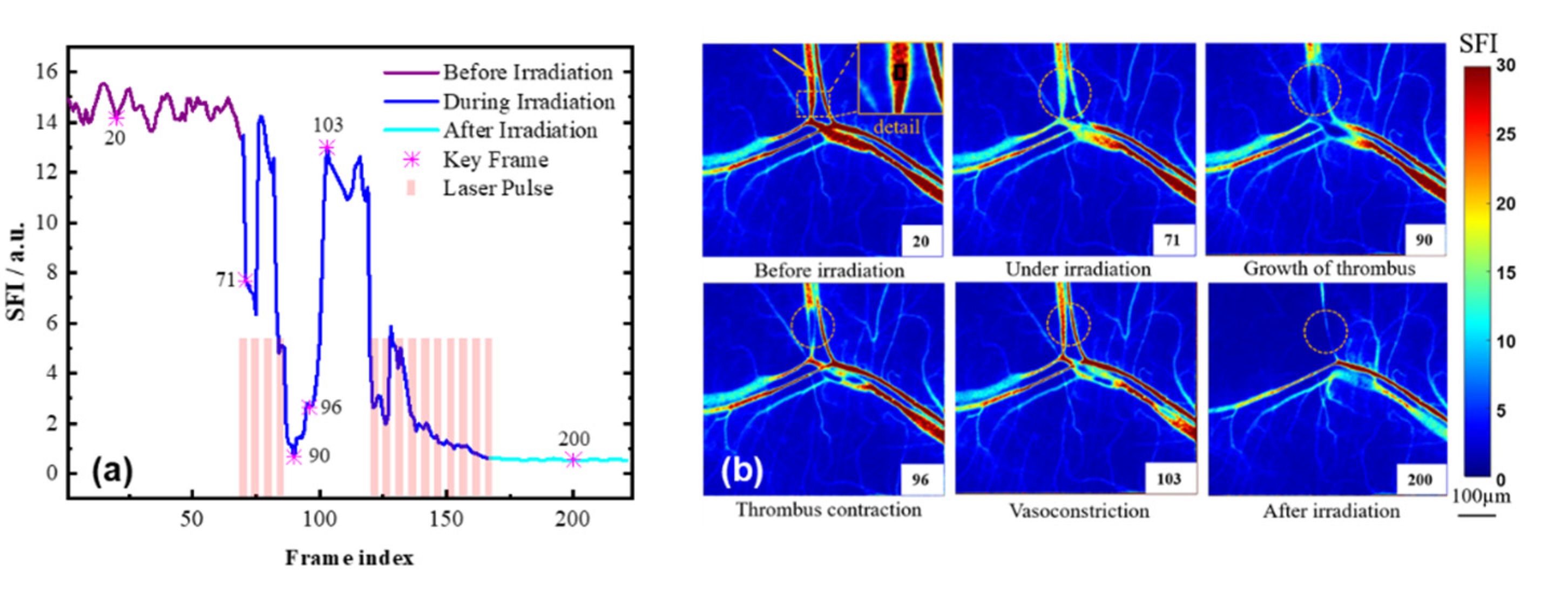 Photonics 09 00520 g012