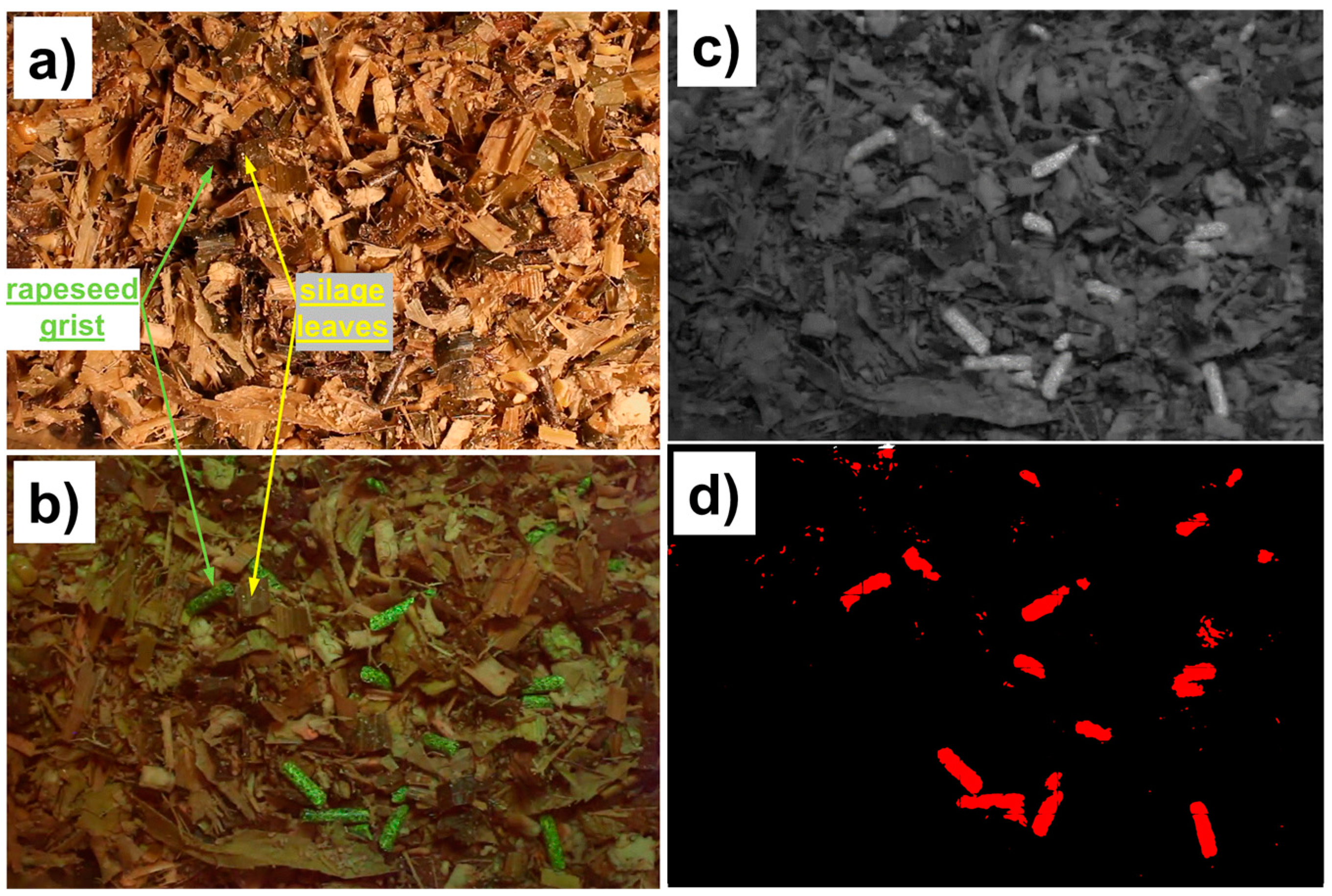 Photonics 09 00521 g005 Photonics 09 00521 g005