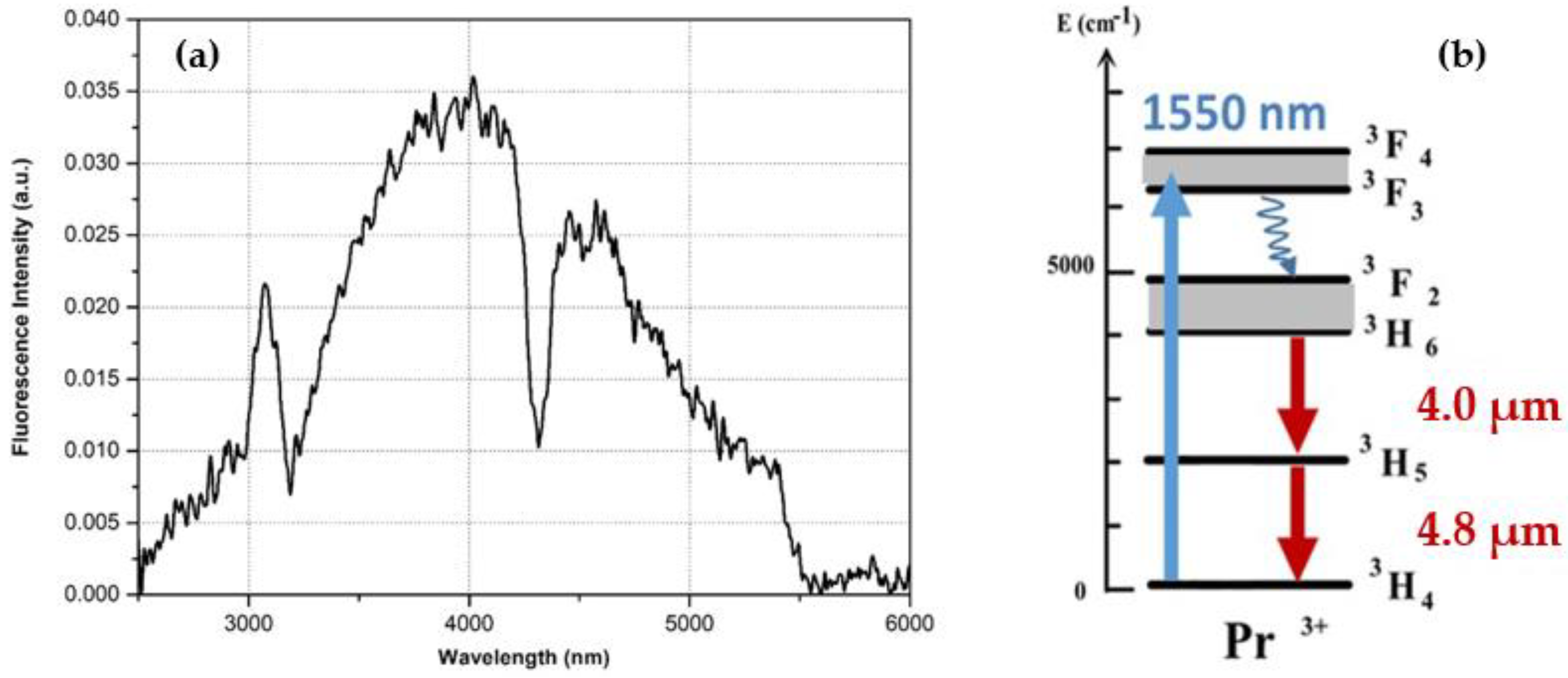 Photonics 09 00549 g005