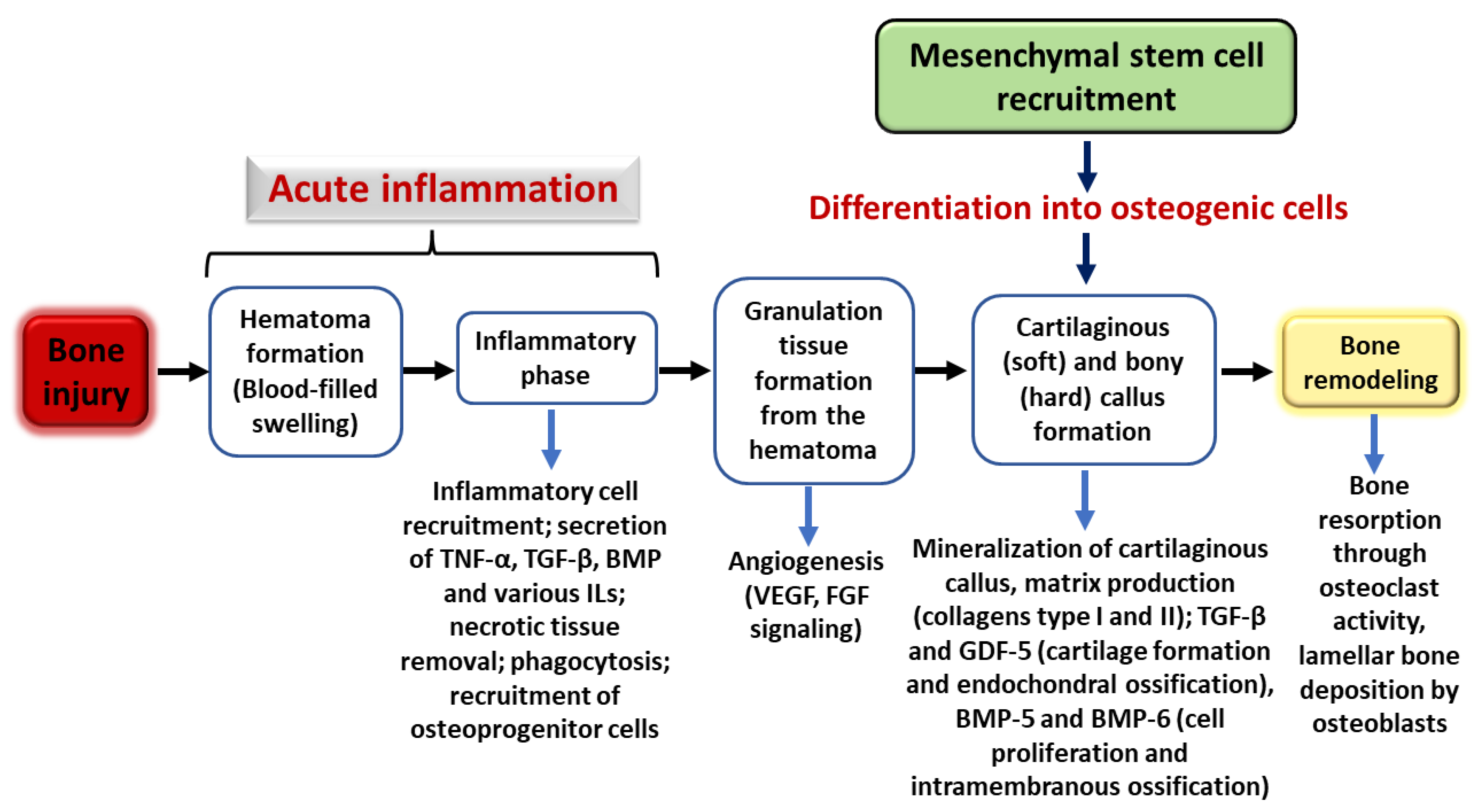 Photonics 09 00618 g001