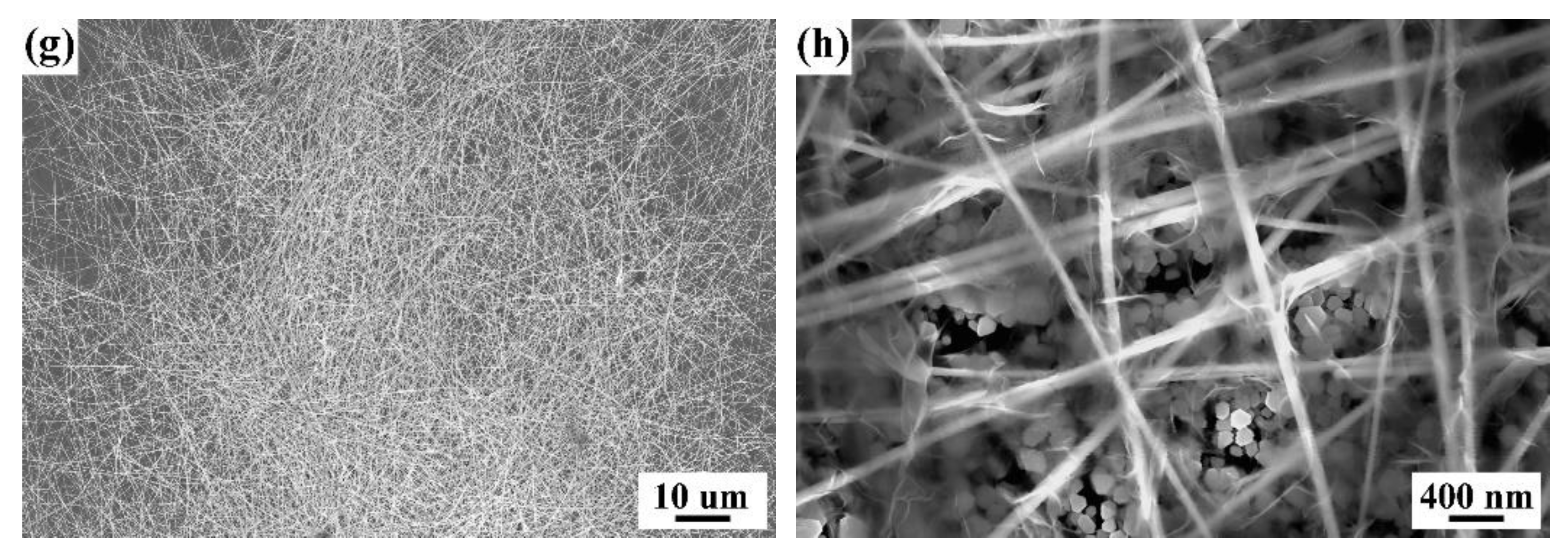 Photonics 09 00628 g002b