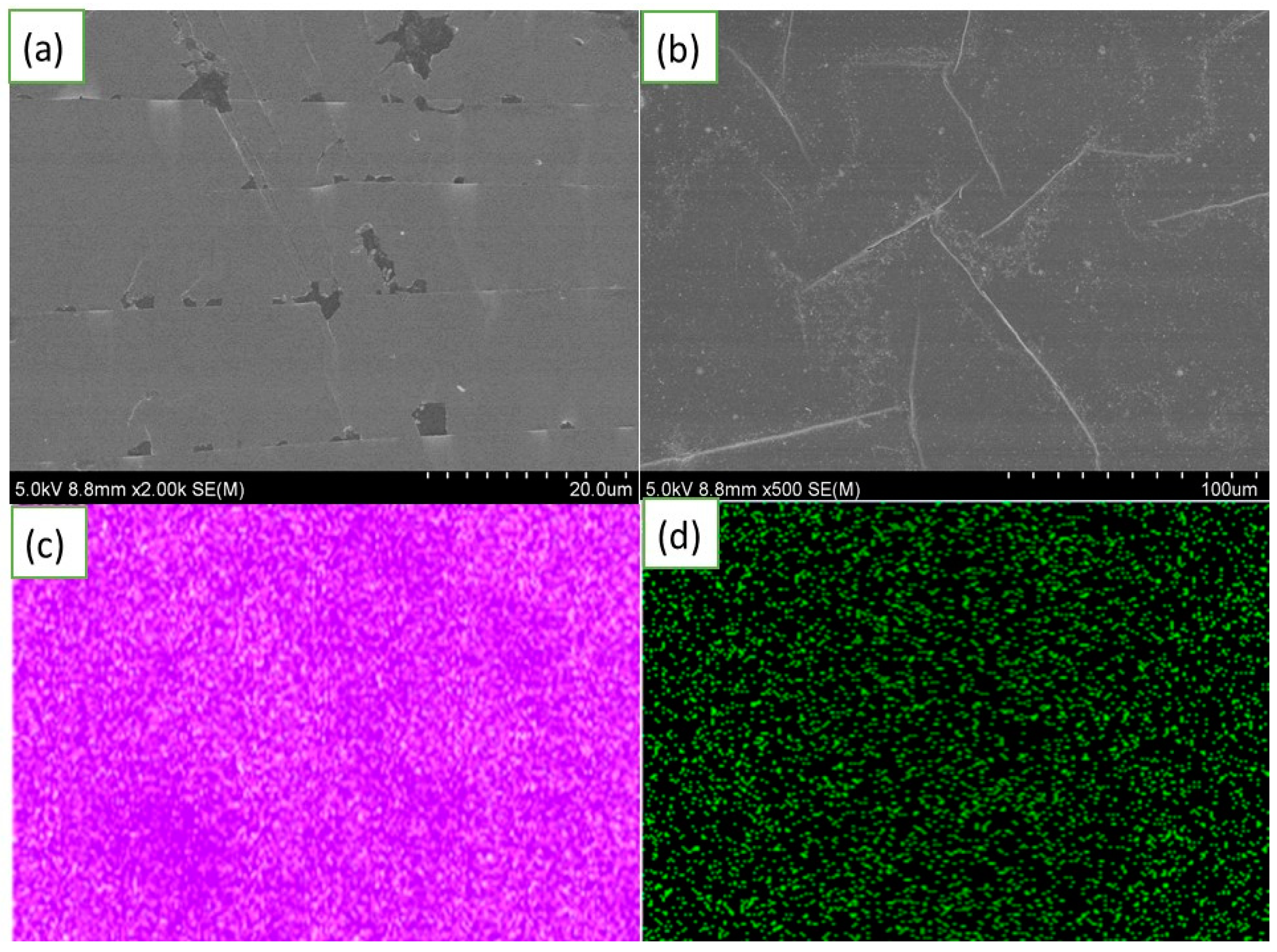 Photonics 09 00638 g003