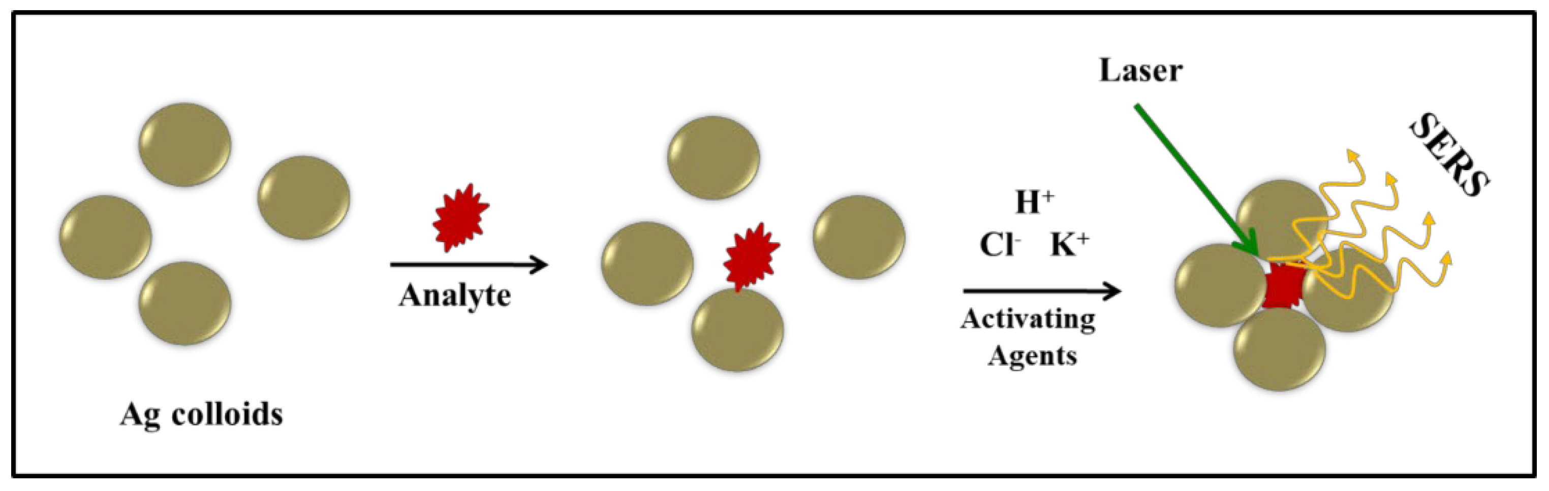 Photonics 09 00648 g002