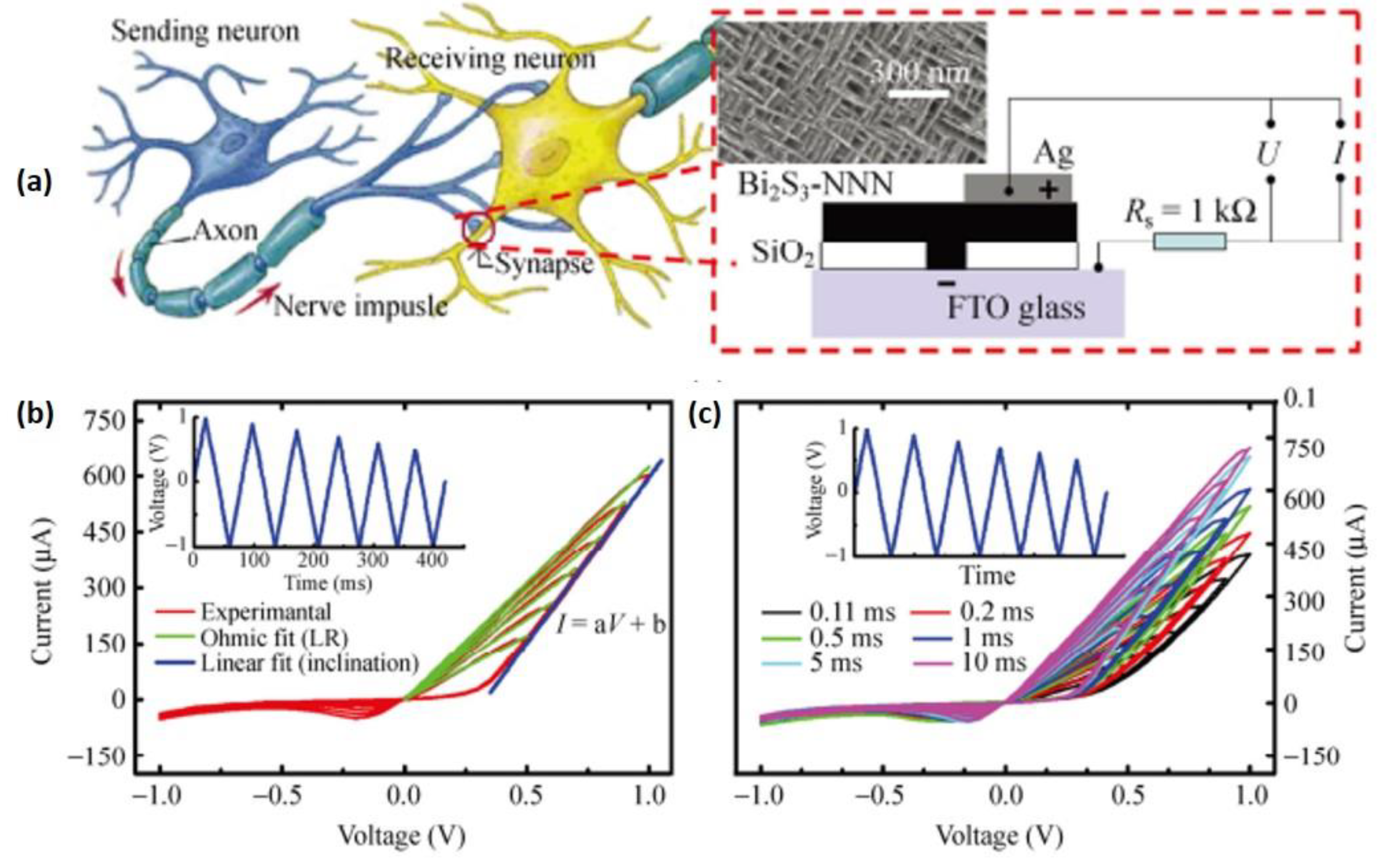 Photonics 09 00790 g006
