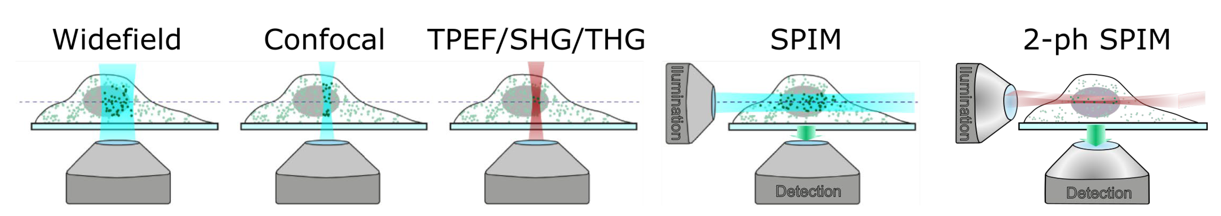 Photonics 09 00914 g003 Photonics 09 00914 g003