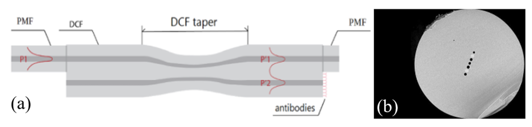 Photonics 09 00987 g008 Photonics 09 00987 g008