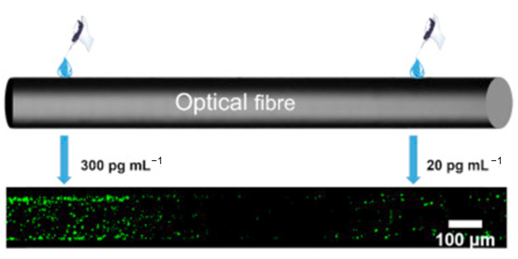 Photonics 09 00987 g016 Photonics 09 00987 g016