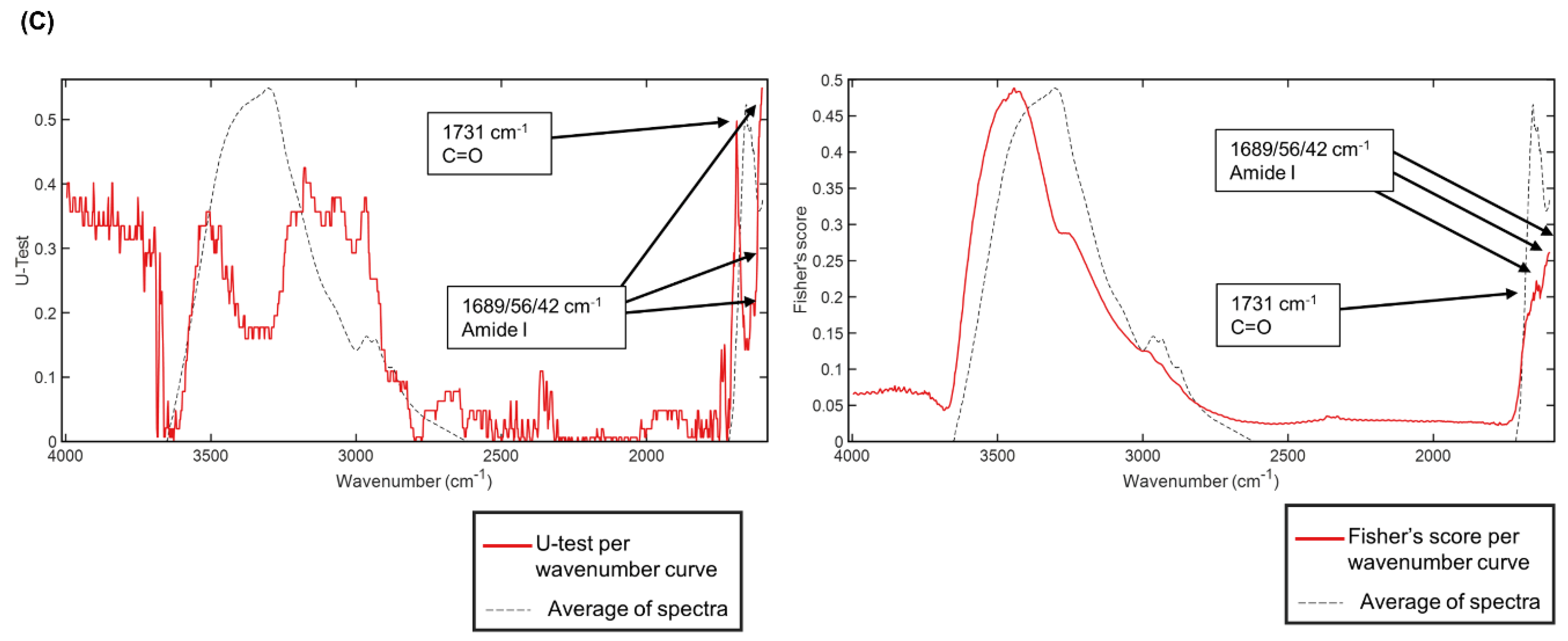 Photonics 10 00002 g004b