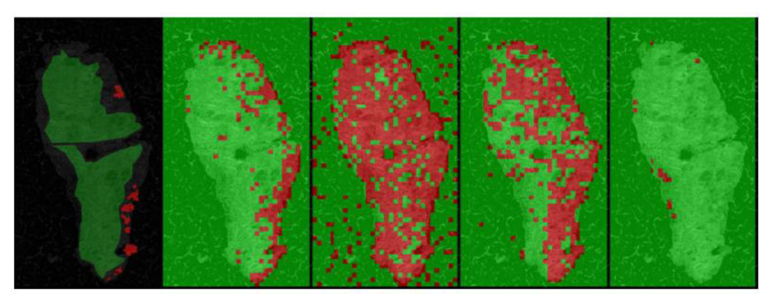 Photonics 10 00051 g017 Photonics 10 00051 g017