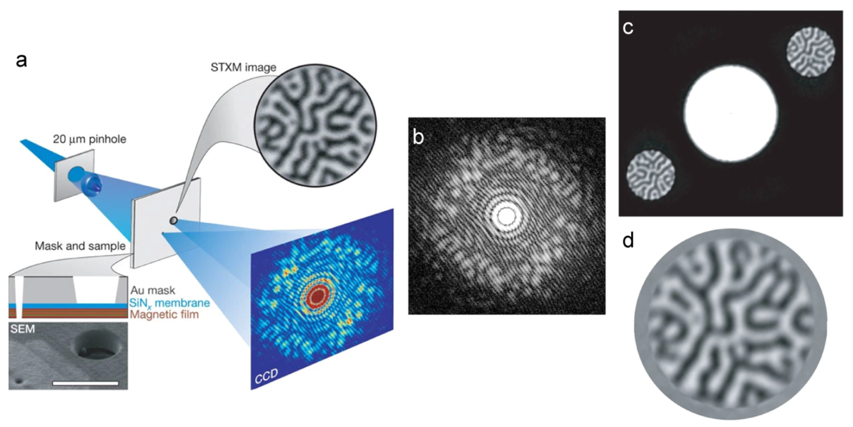 Photonics | Free Full-Text | Fourier Transform Holography: A Lensless ...