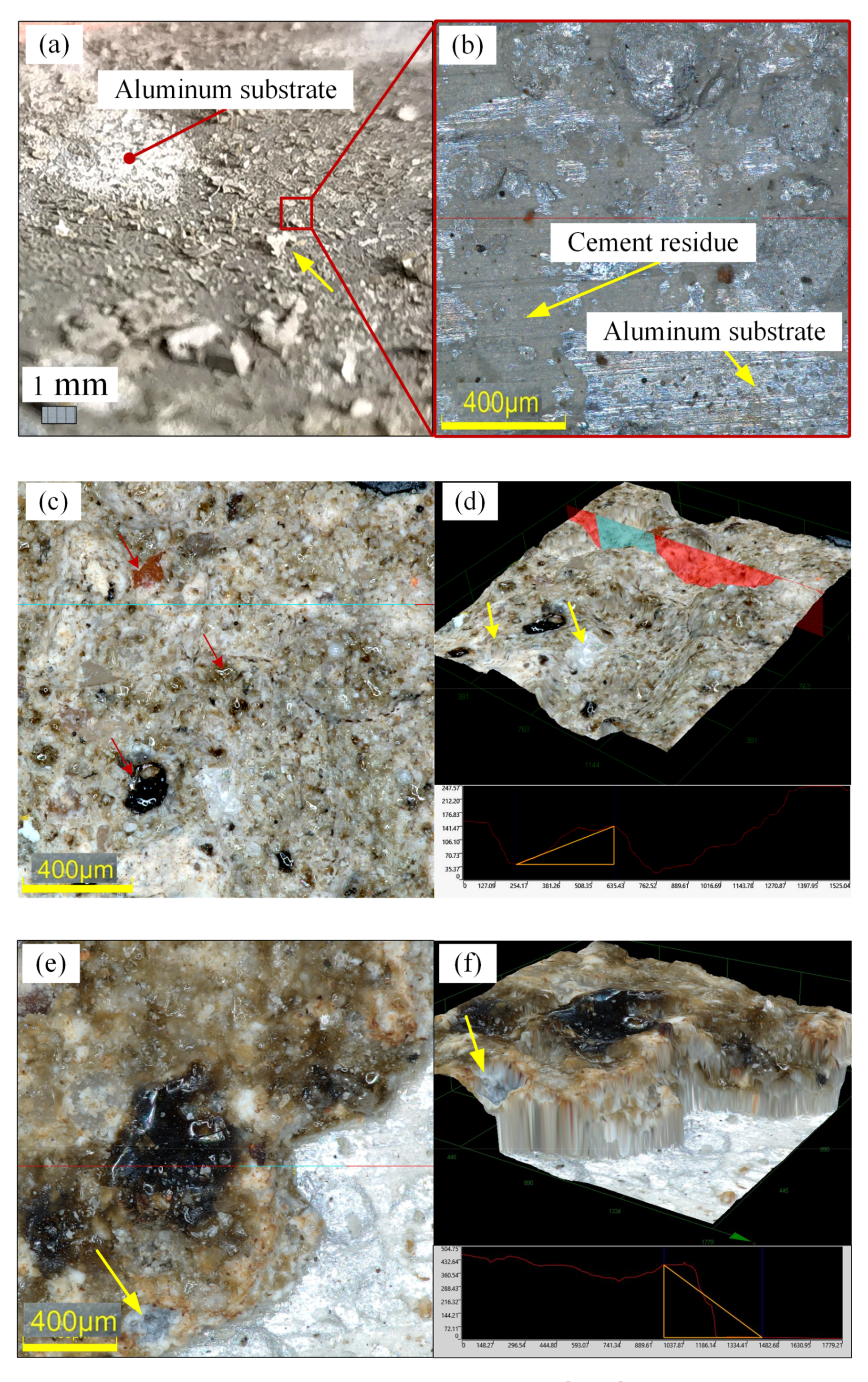Photonics 10 00242 g006