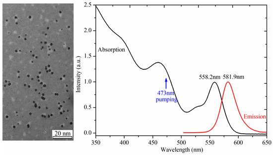 Light-Generating CdSe/CdS Colloidal Quantum Dot-Doped Plastic Optical  Fibers