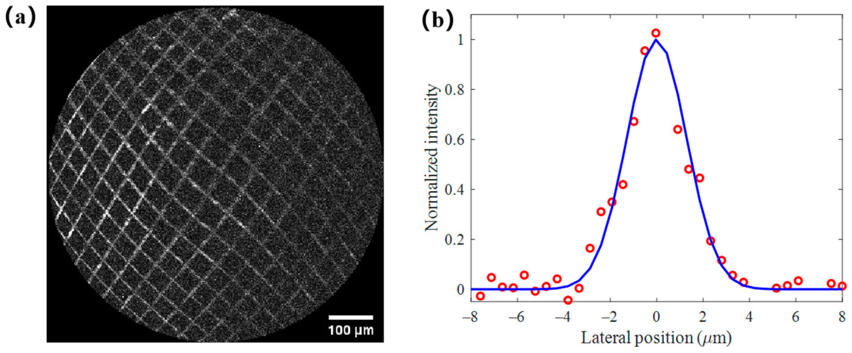 Photonics 10 00342 g007 Photonics 10 00342 g007