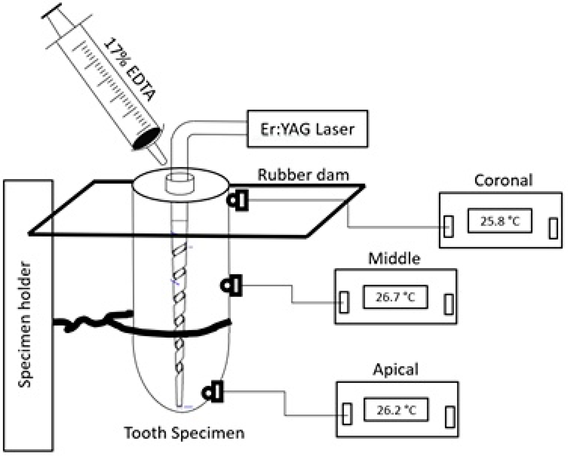 Photonics 10 00488 g002