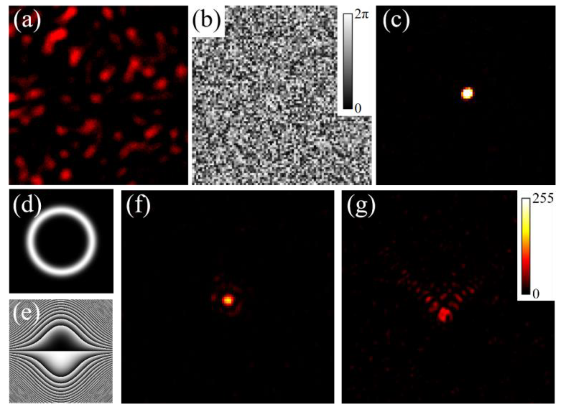 Photonics 10 00497 g004