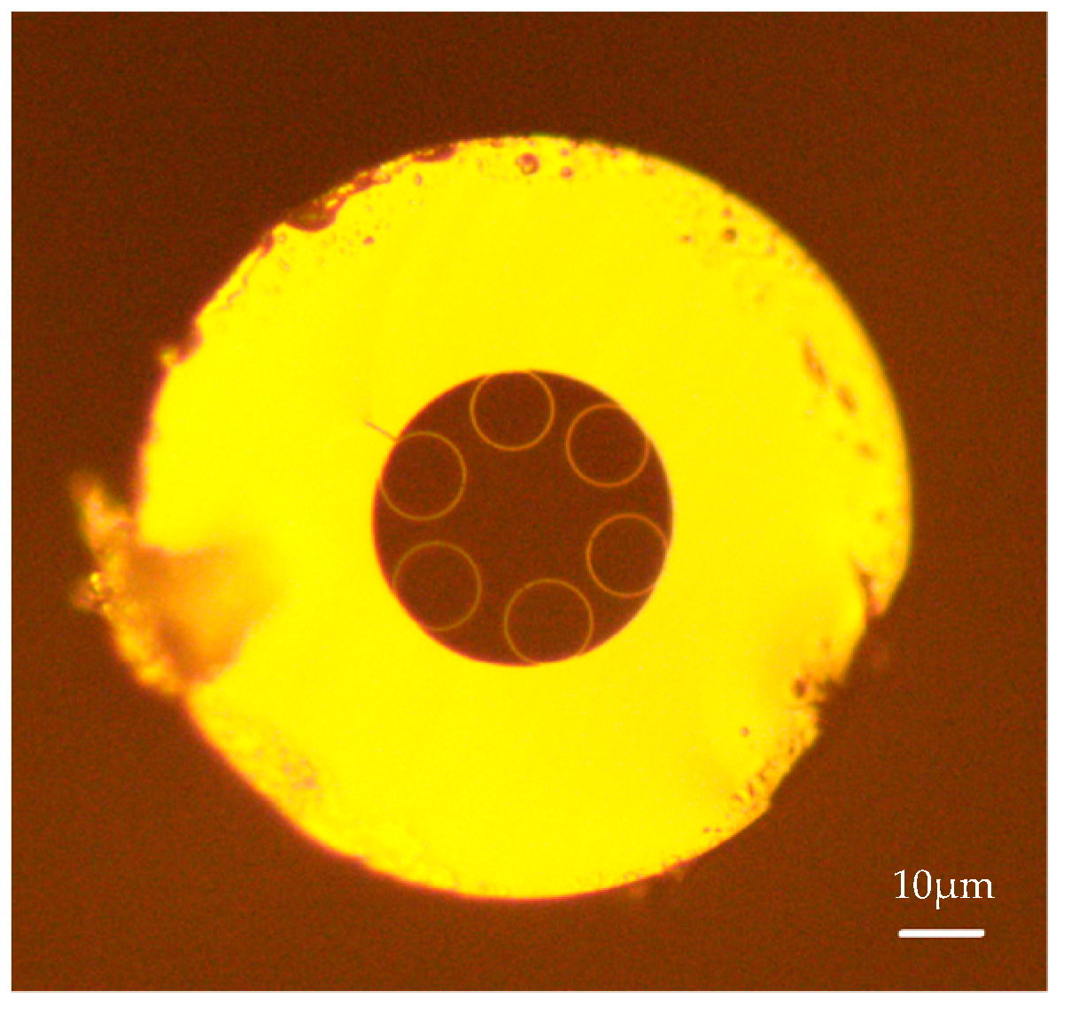 Photonics 10 00528 g006