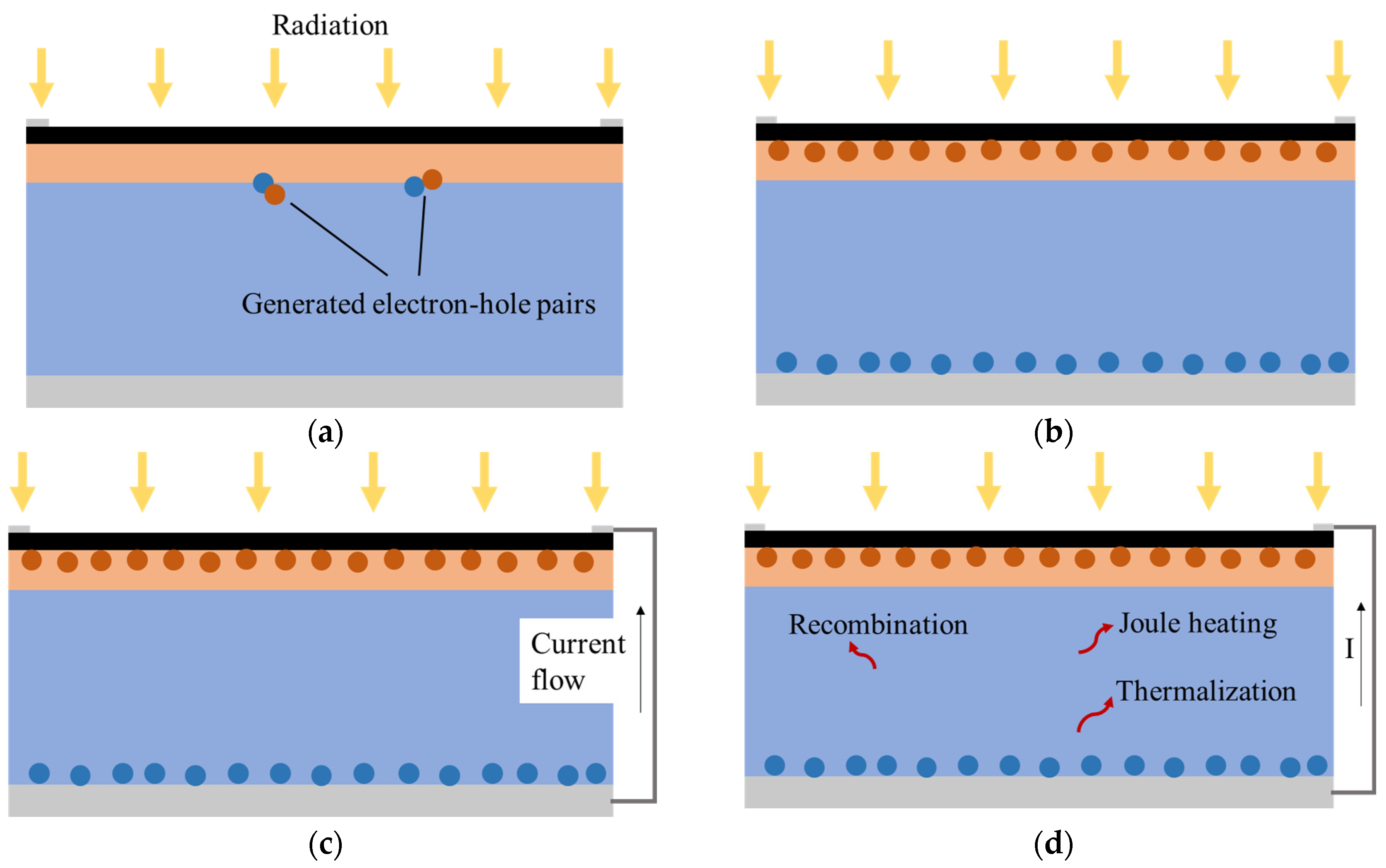 Photonics 10 00565 g002