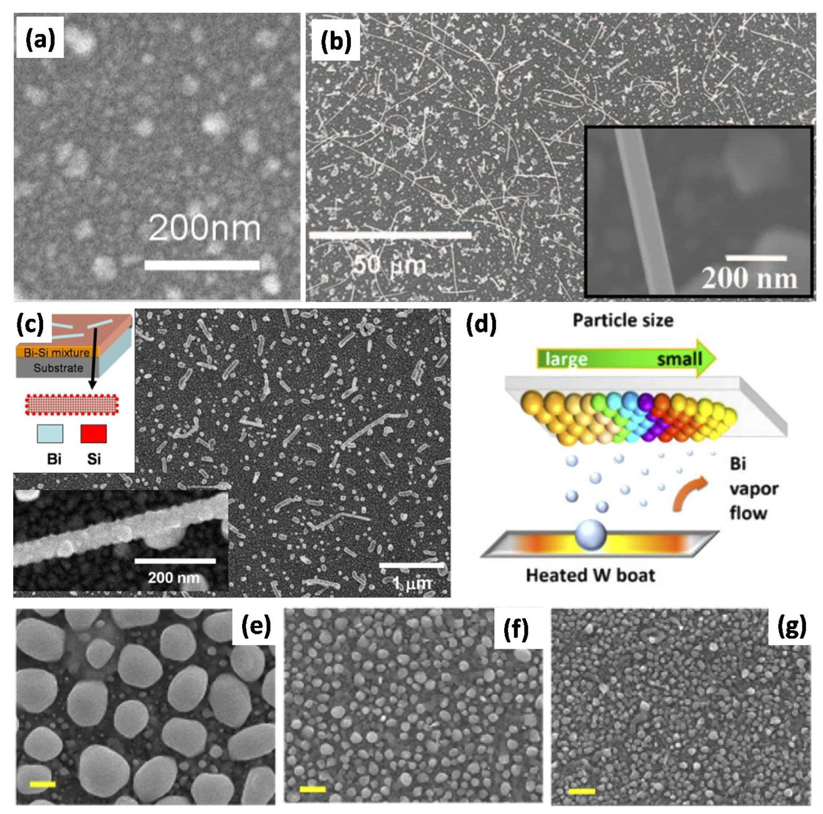Photonics 10 00602 g004