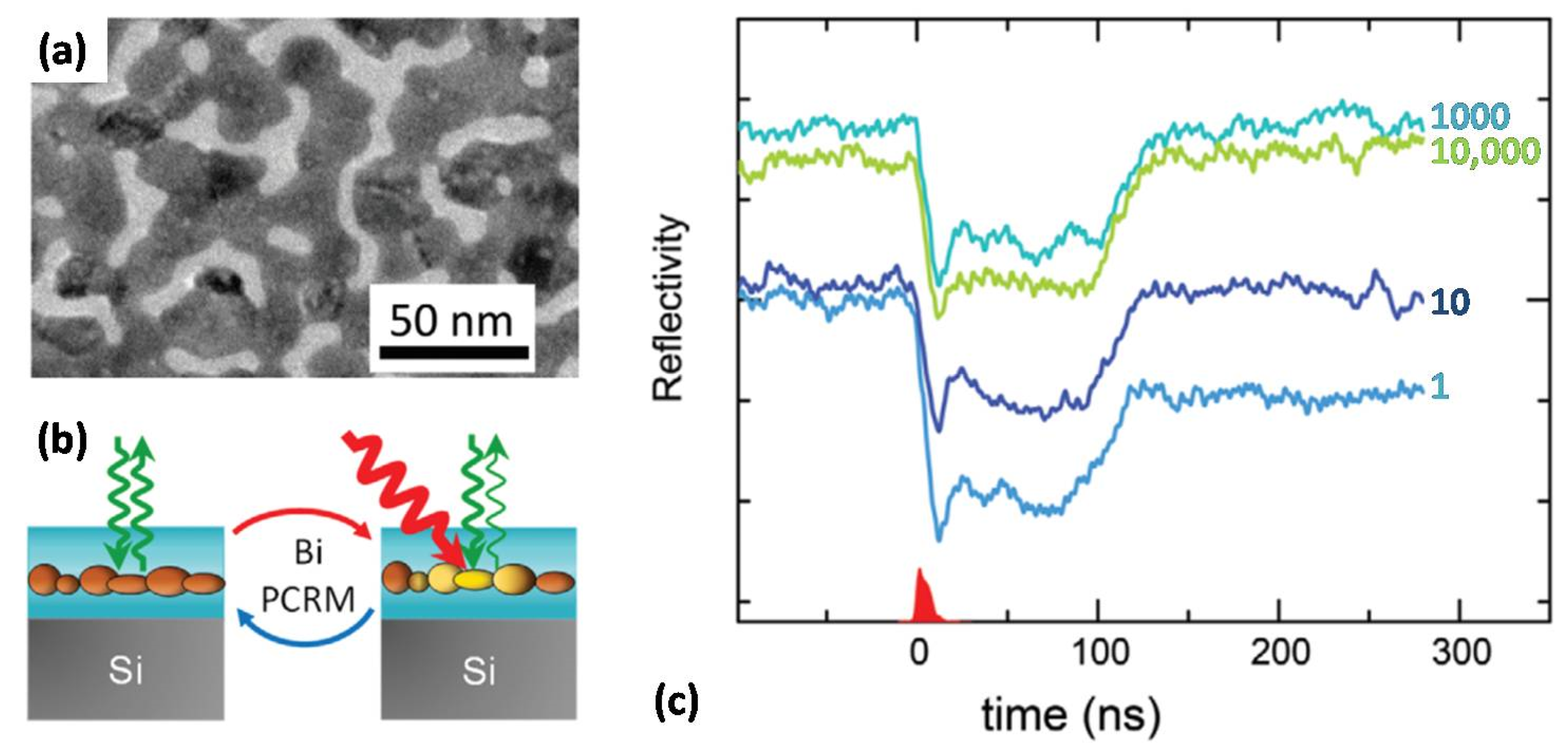 Photonics 10 00602 g011