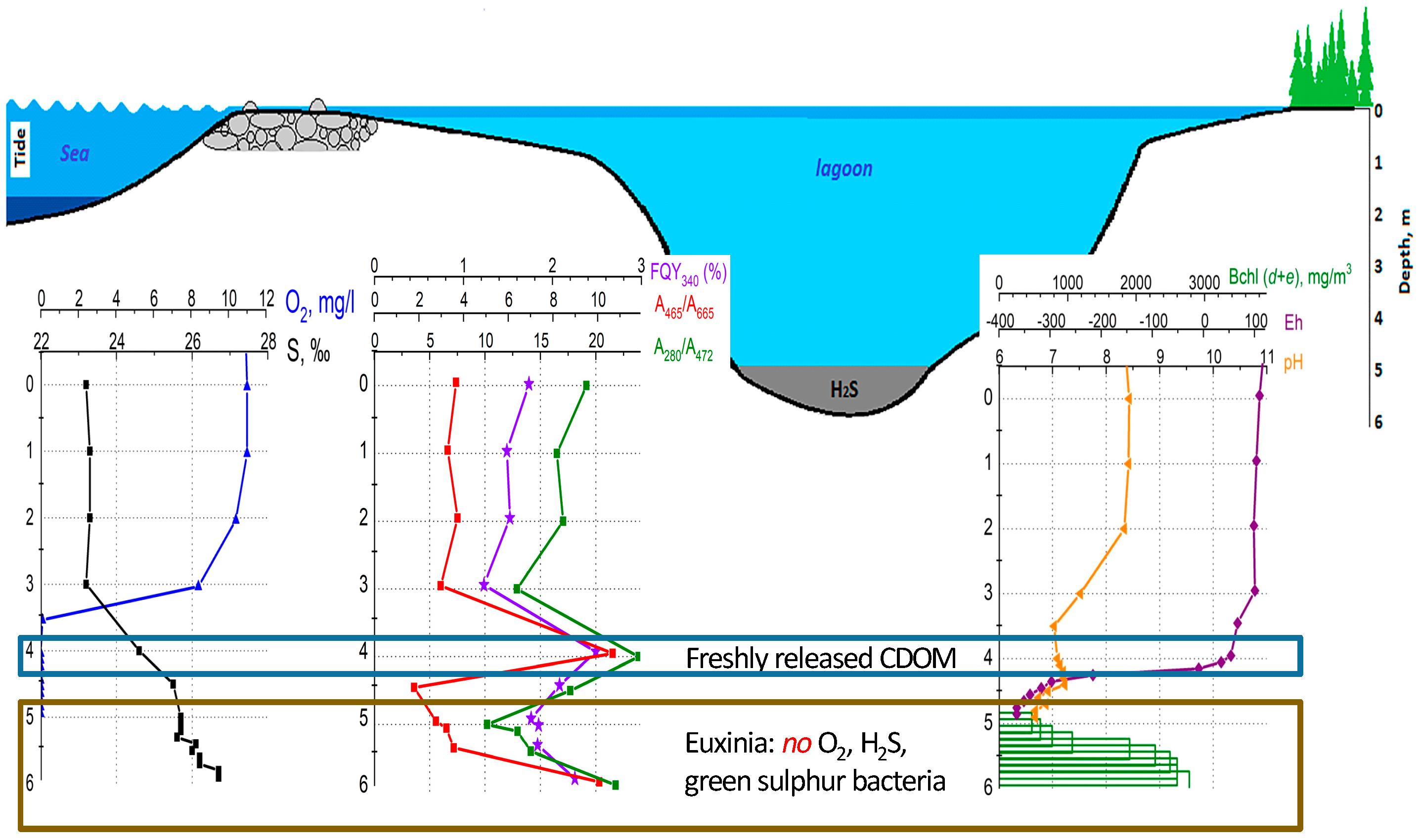 Photonics 10 00672 g010 Photonics 10 00672 g010