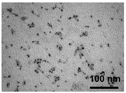 Photonics 10 00705 i001