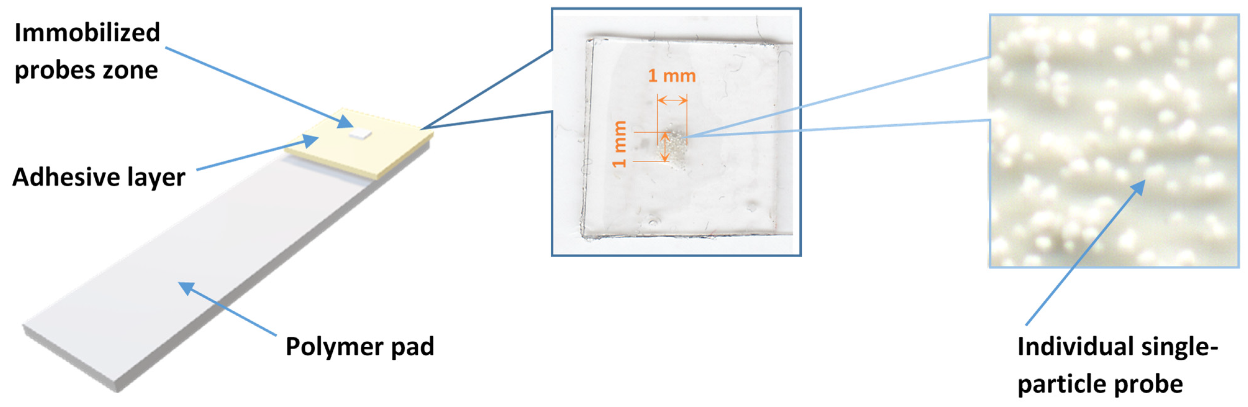 Microprobes for Life Science - Microprobes for Life Science