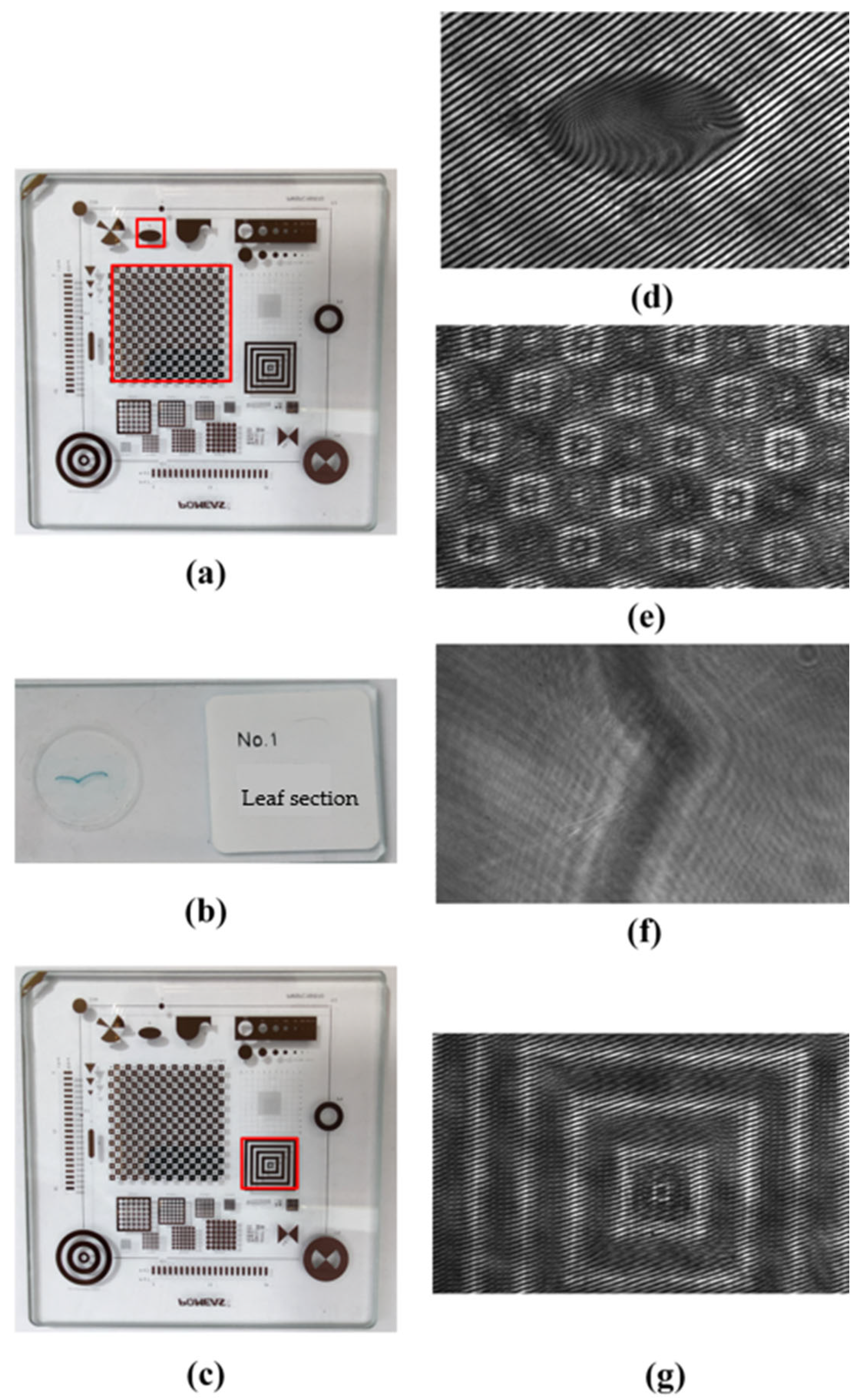 Photonics 10 00790 g003 Photonics 10 00790 g003