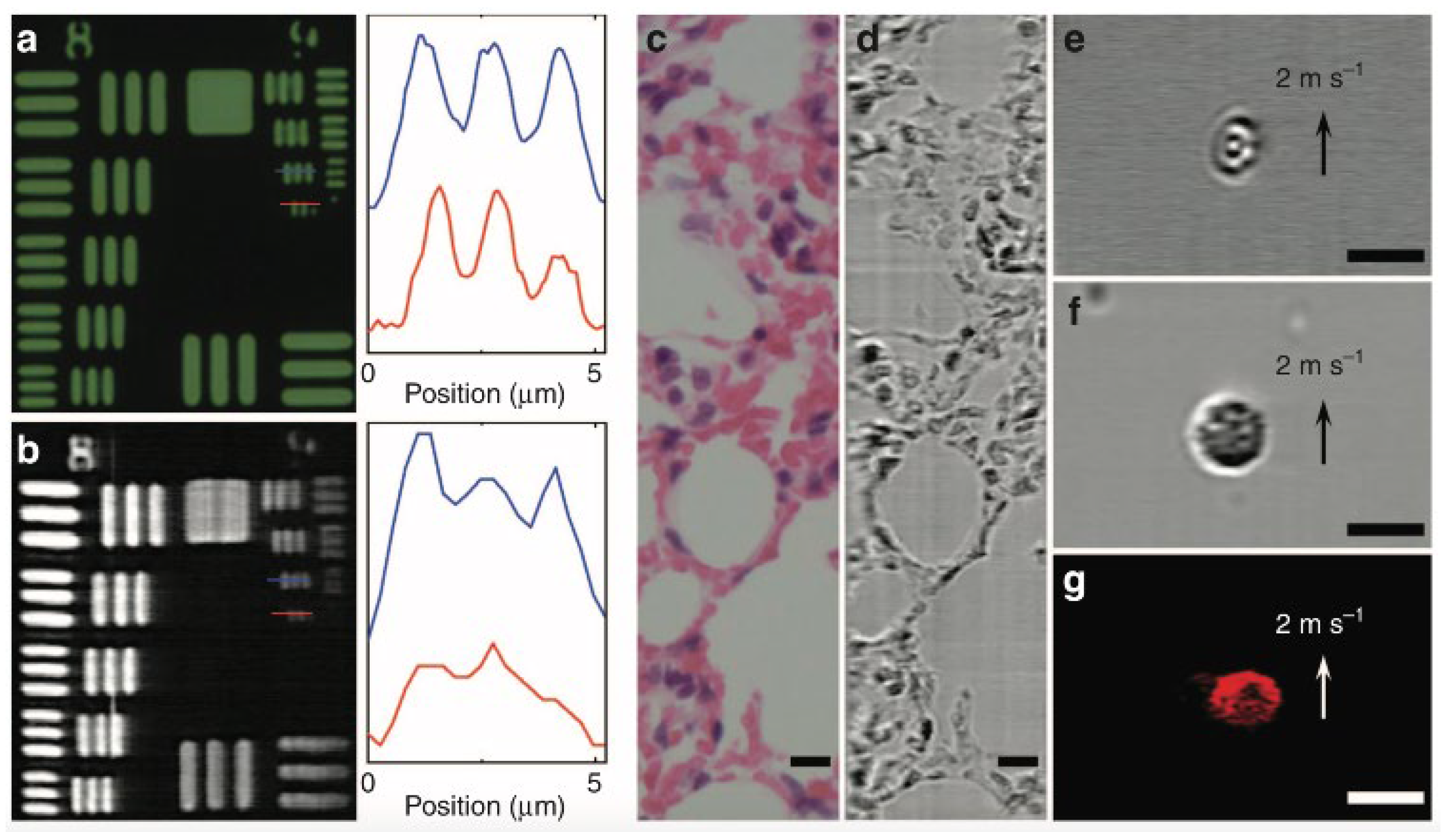 Photonics 10 00817 g009 Photonics 10 00817 g009