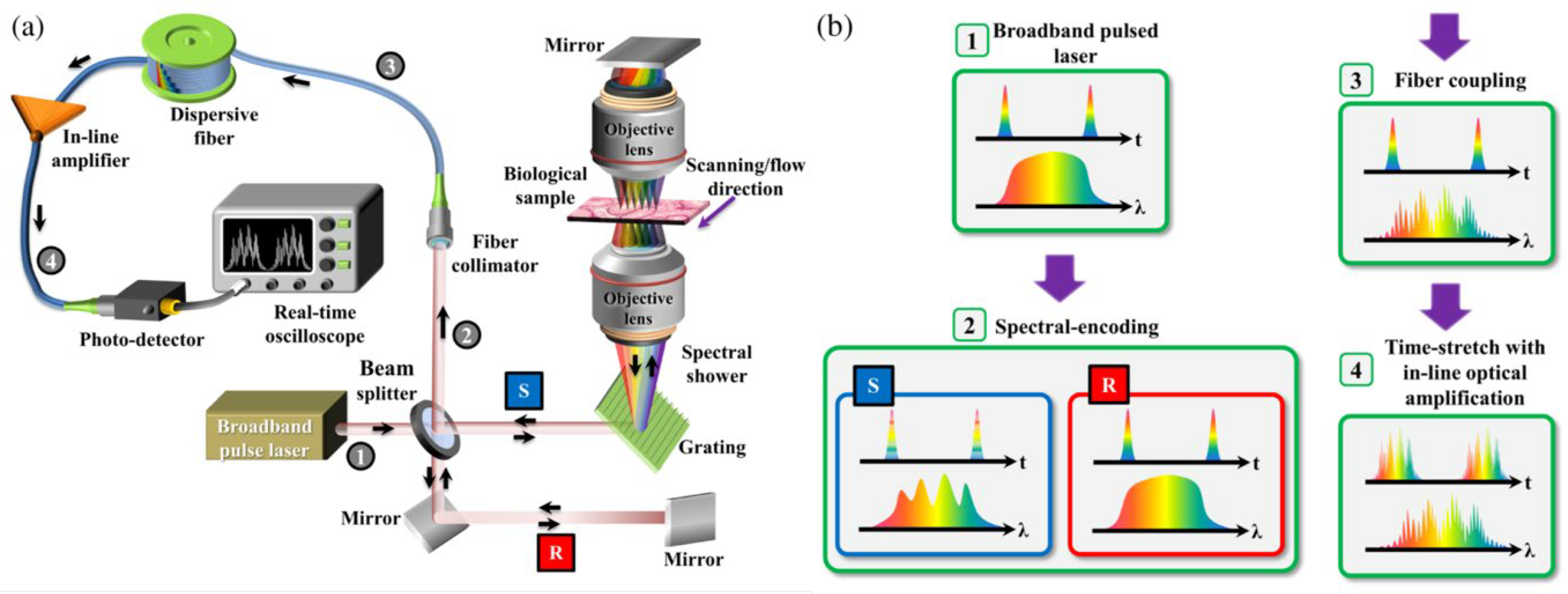 Photonics 10 00817 g010 Photonics 10 00817 g010