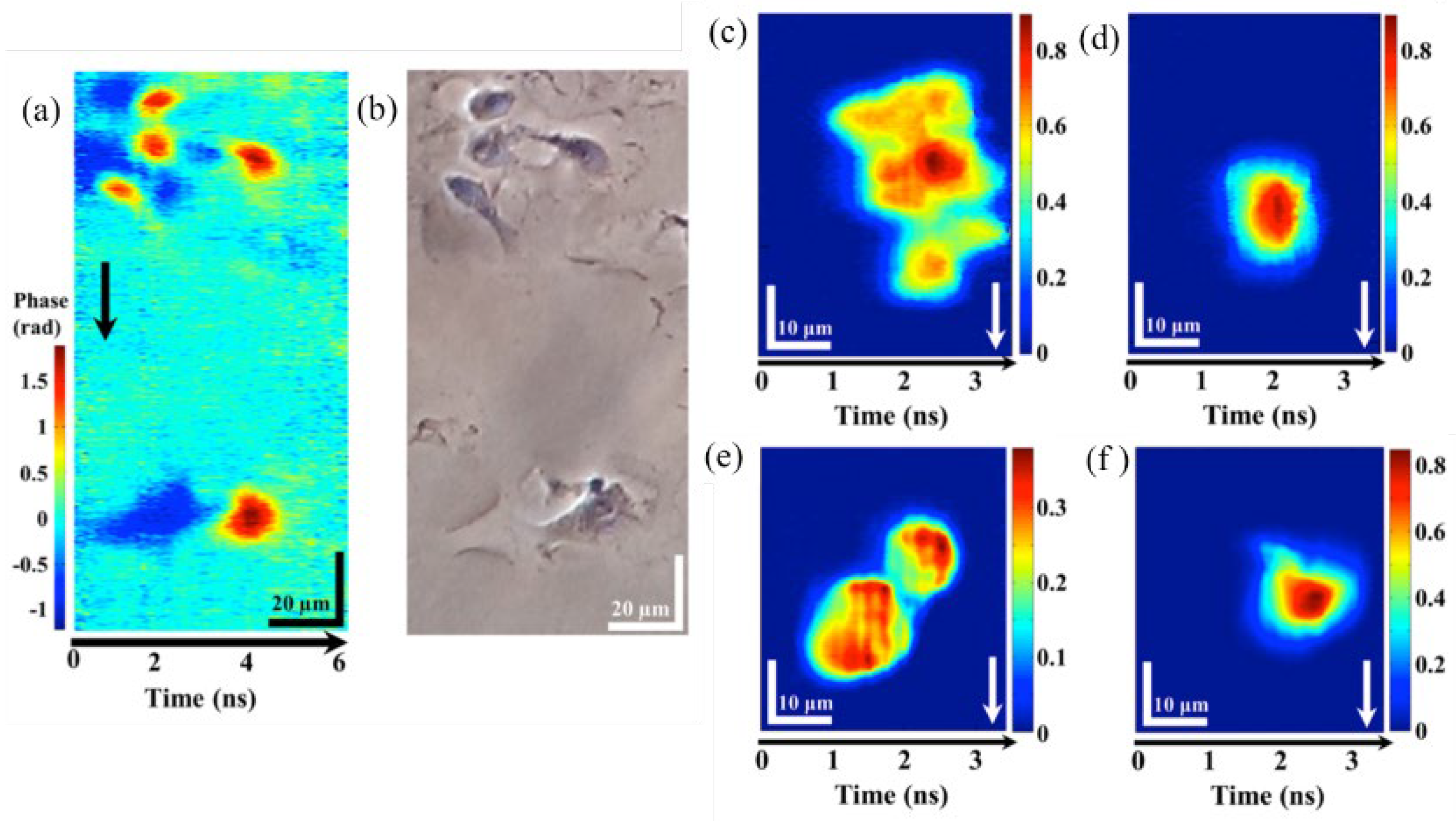 Photonics 10 00817 g011 Photonics 10 00817 g011
