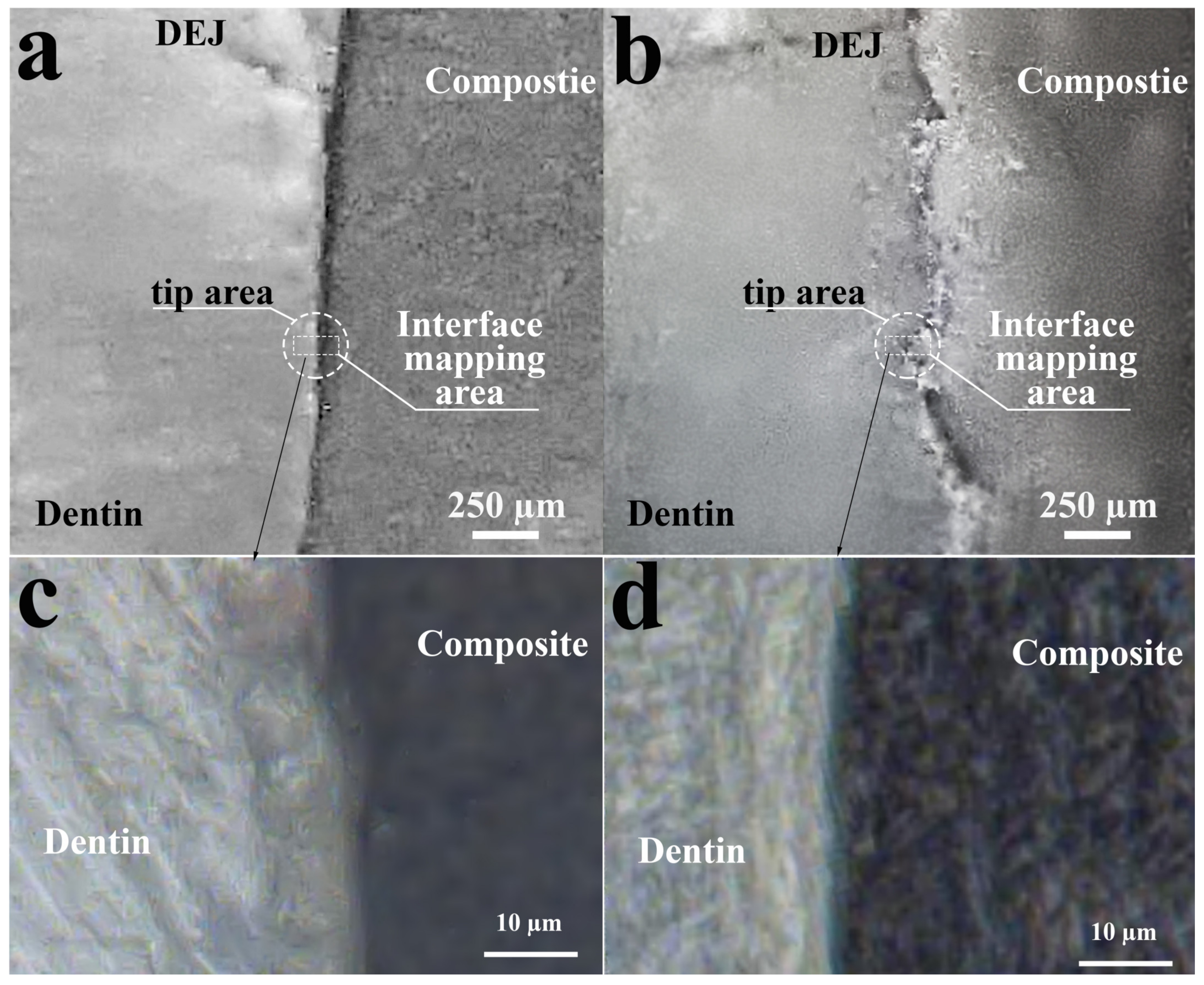 Photonics 10 00881 g001 Photonics 10 00881 g001