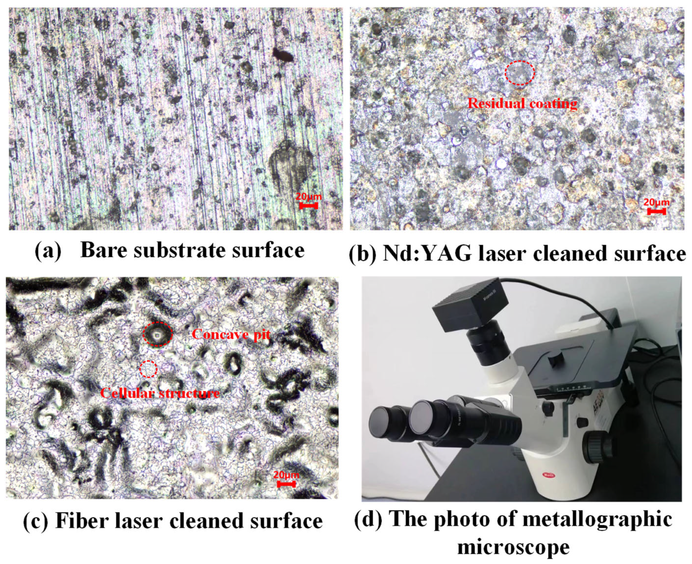 Photonics 10 00901 g008