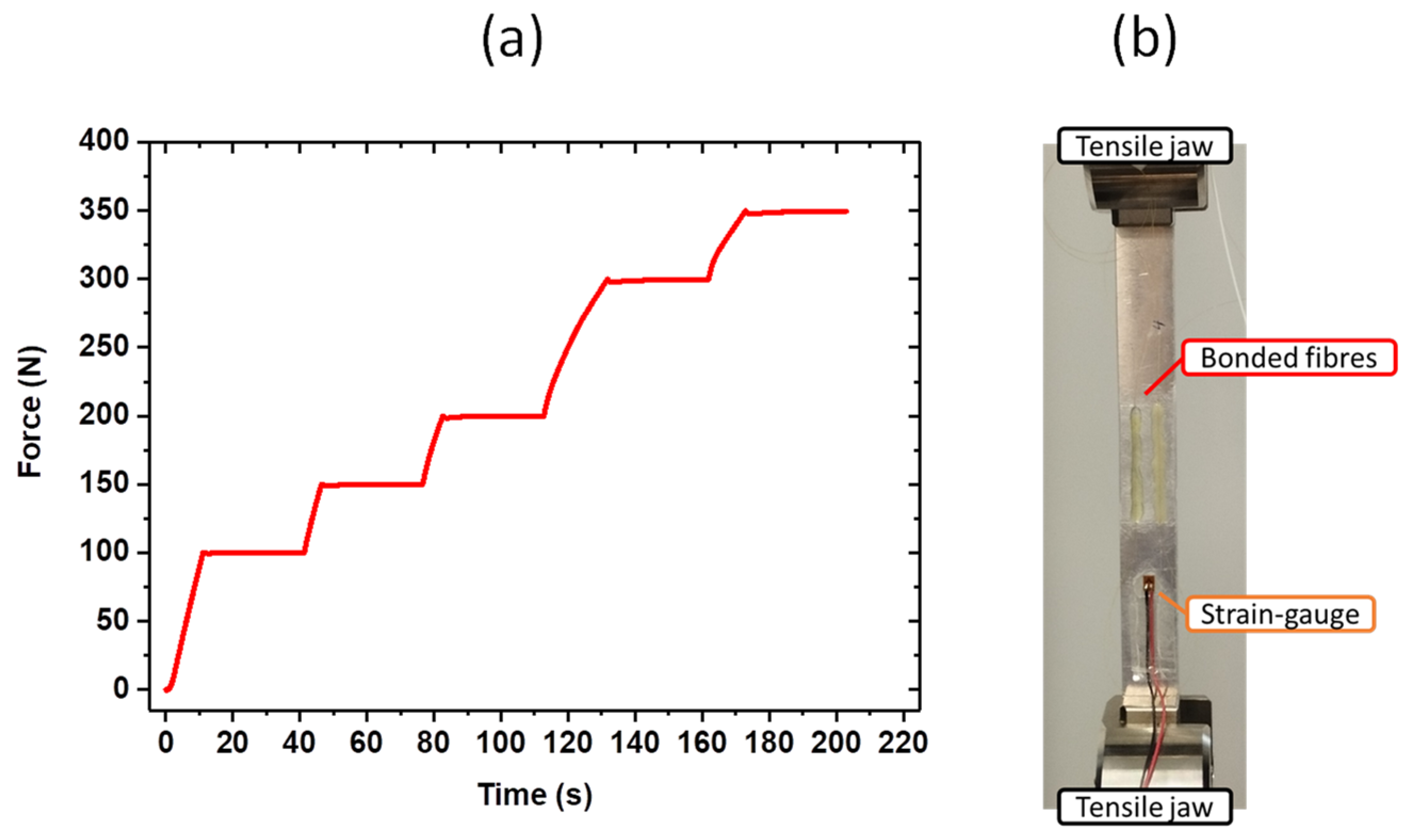 Photonics 10 00996 g004