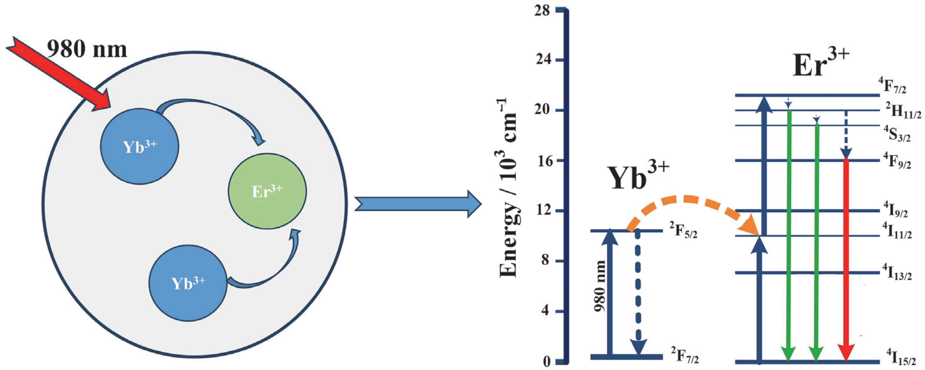 Photonics 10 01014 g003