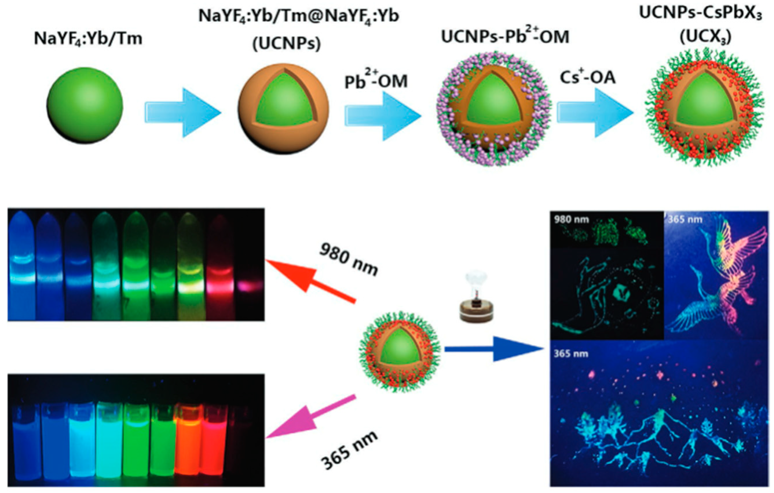 Photonics 10 01014 g012