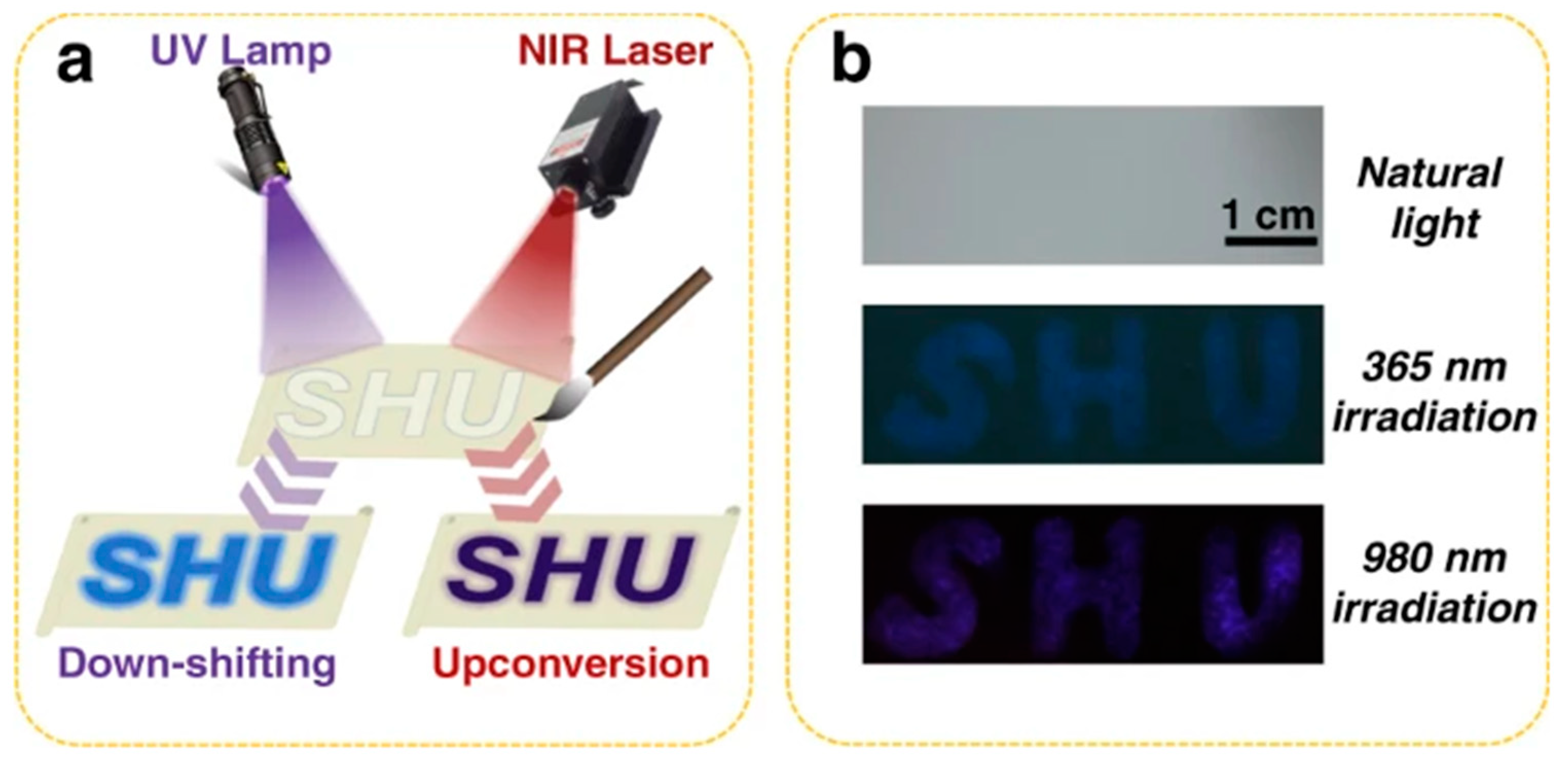 Photonics 10 01014 g013