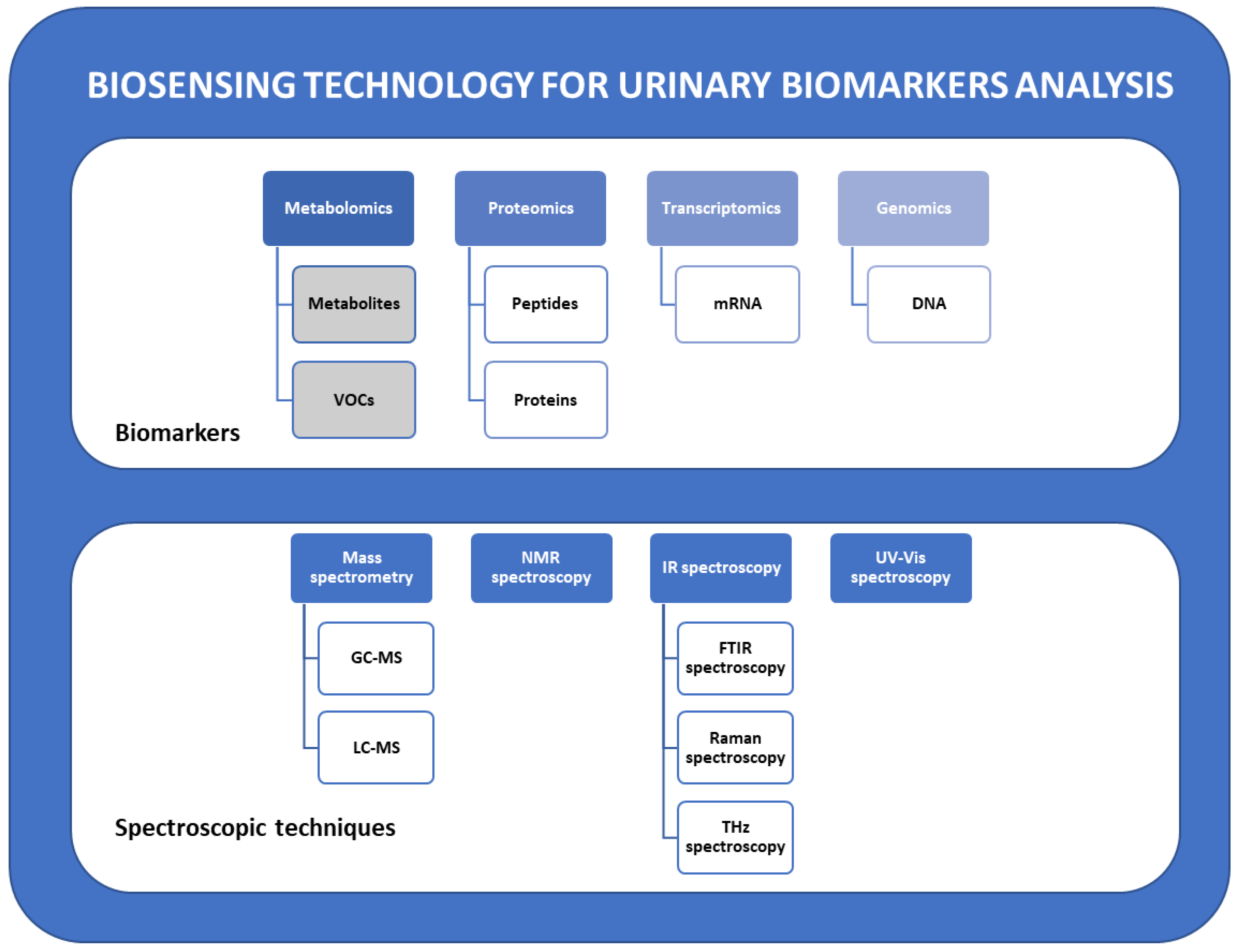 Photonics 10 01051 g002