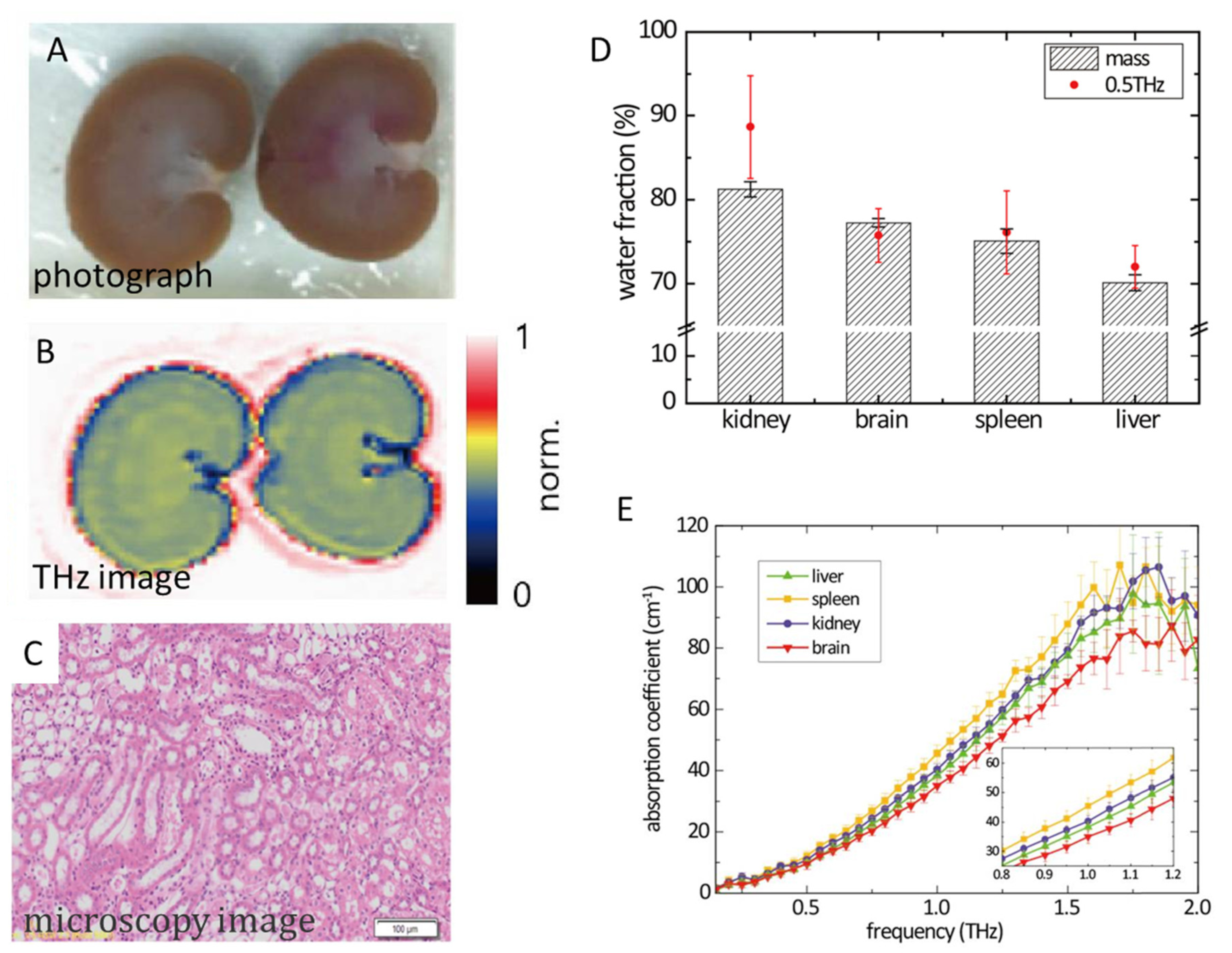 Photonics 10 01051 g009