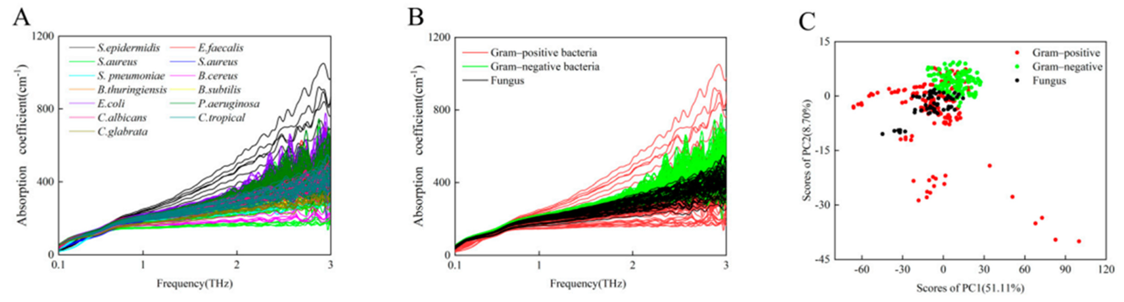 Photonics 10 01051 g010