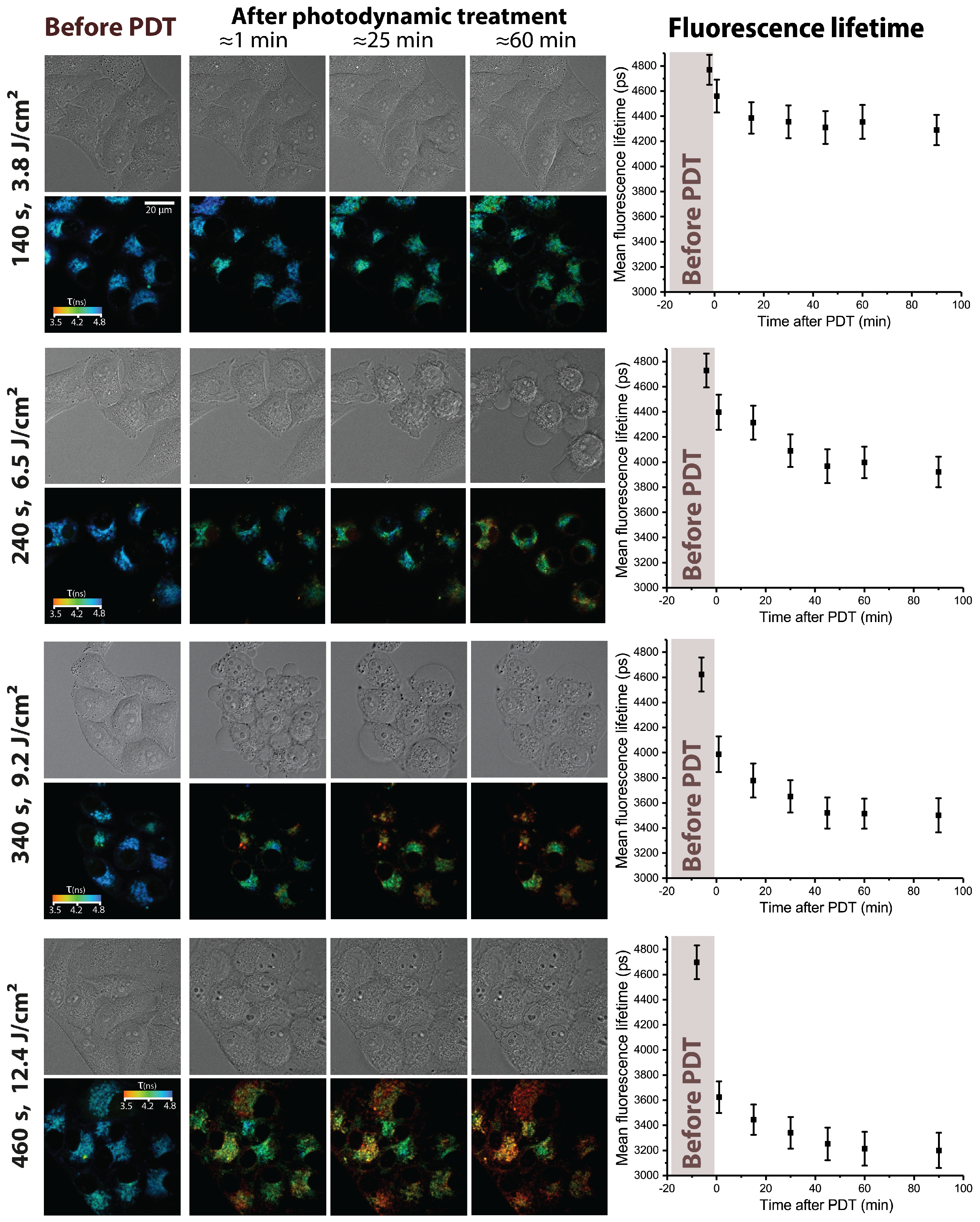 Photonics 10 01262 g004