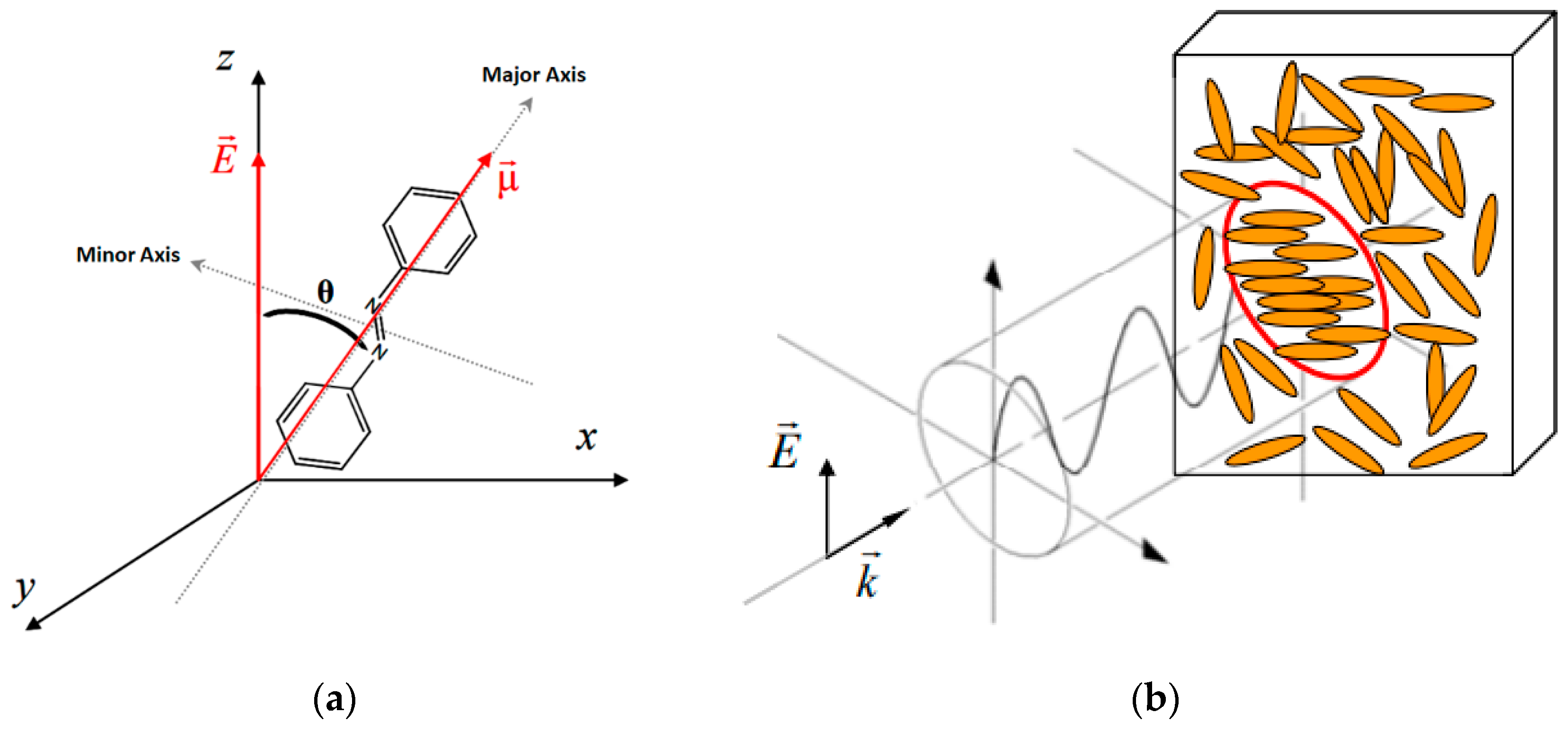 Photonics 10 01319 g005